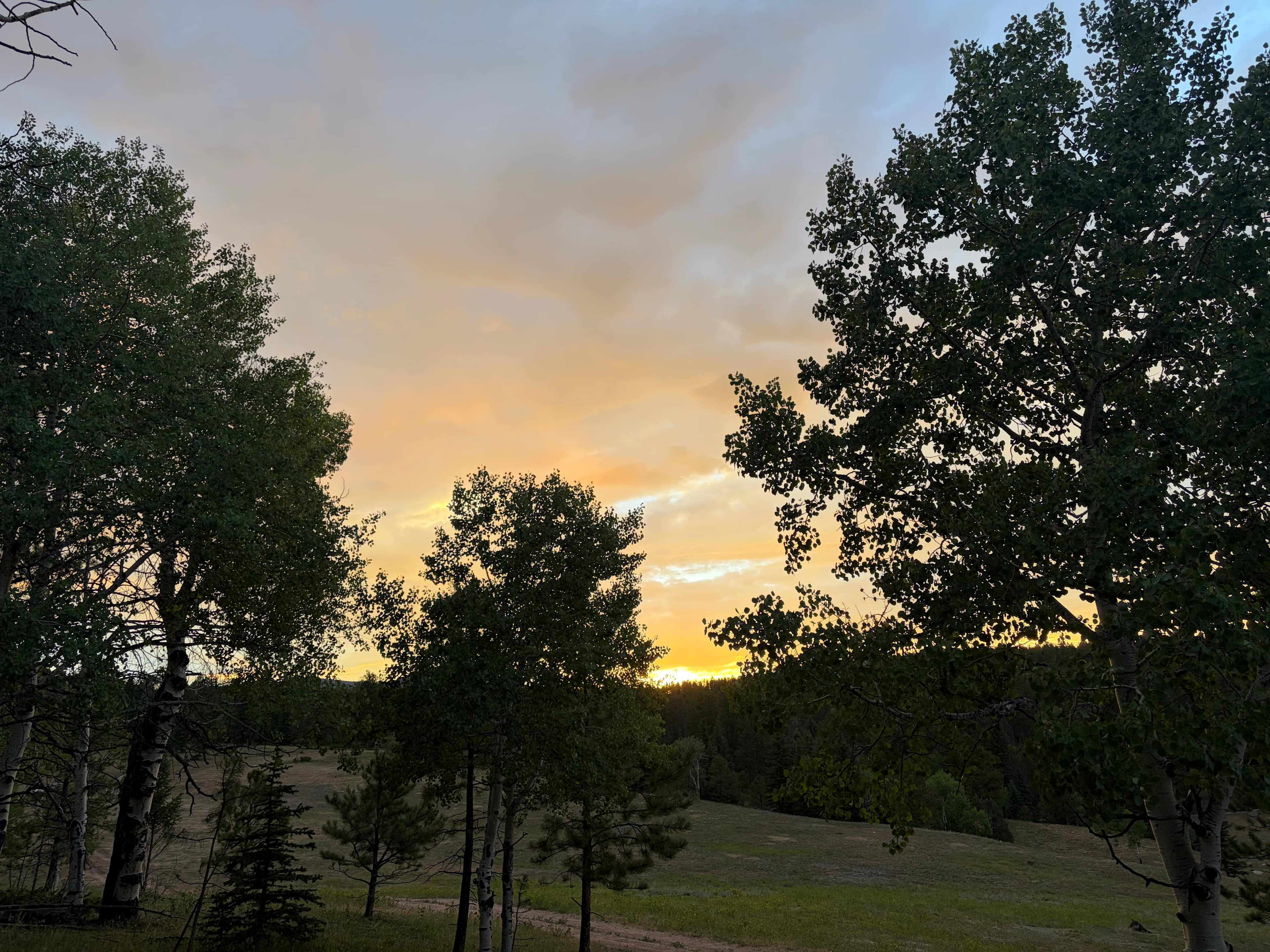 Rustic Creek Ranch