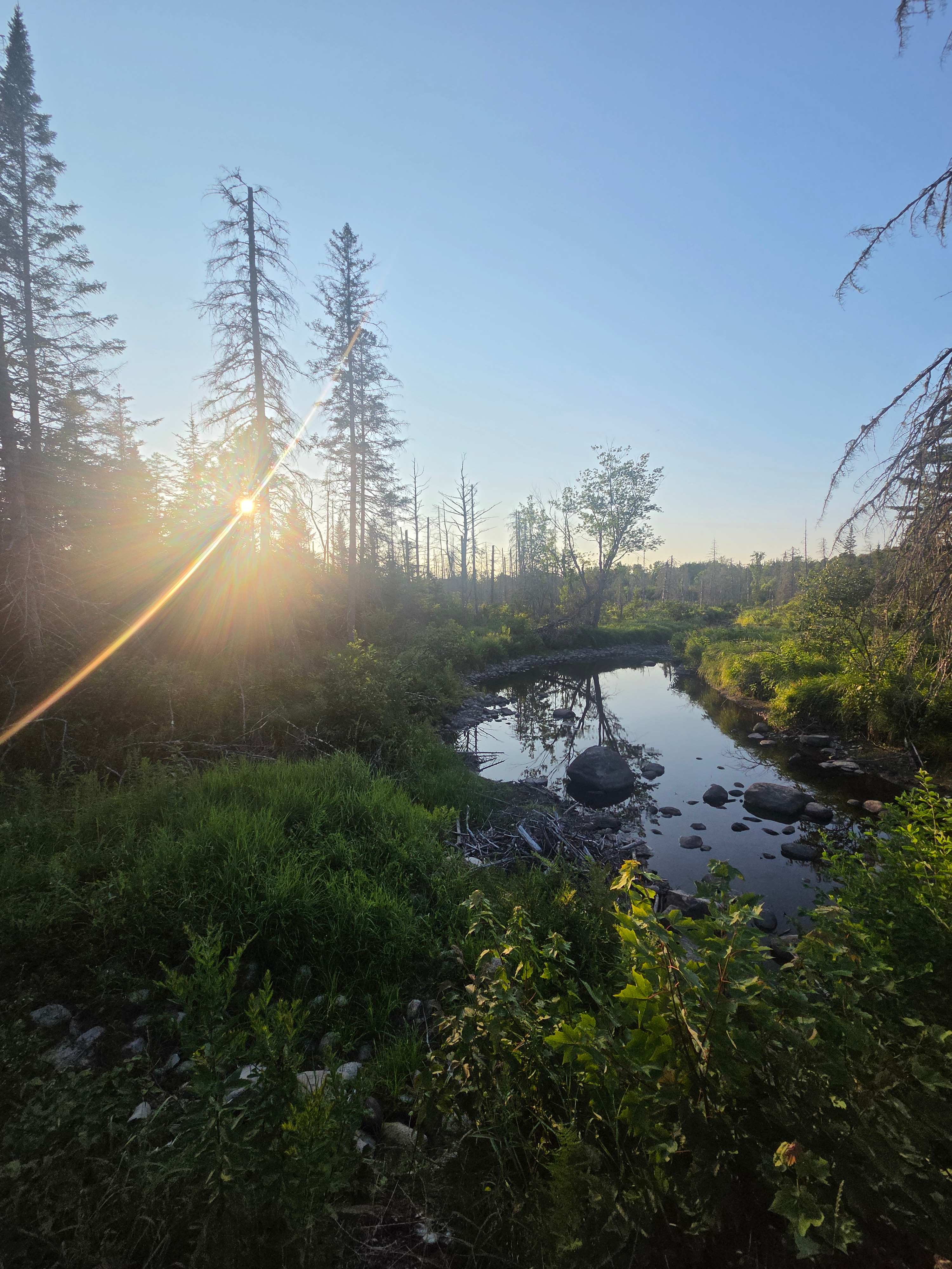 Picture of the site