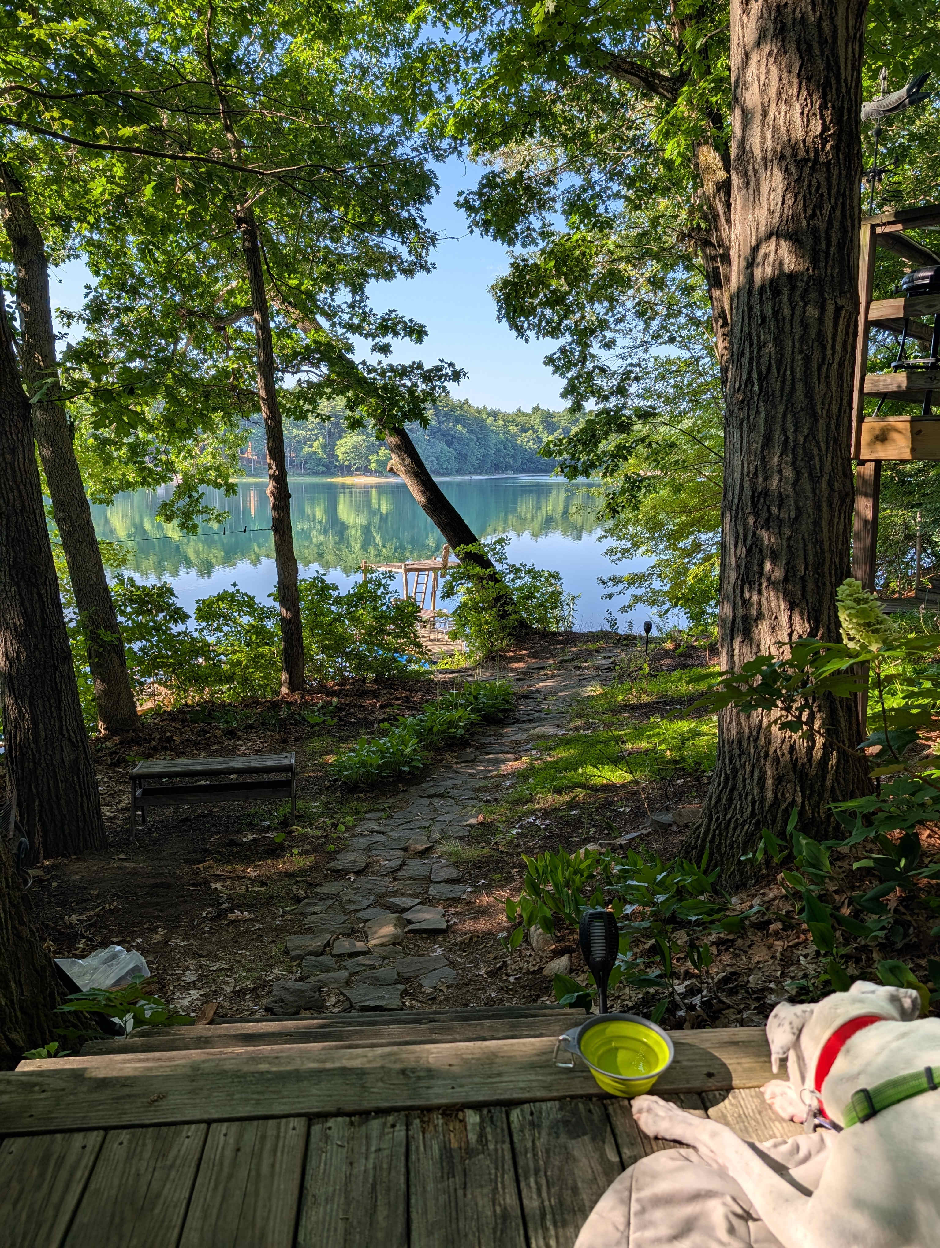 View from the site