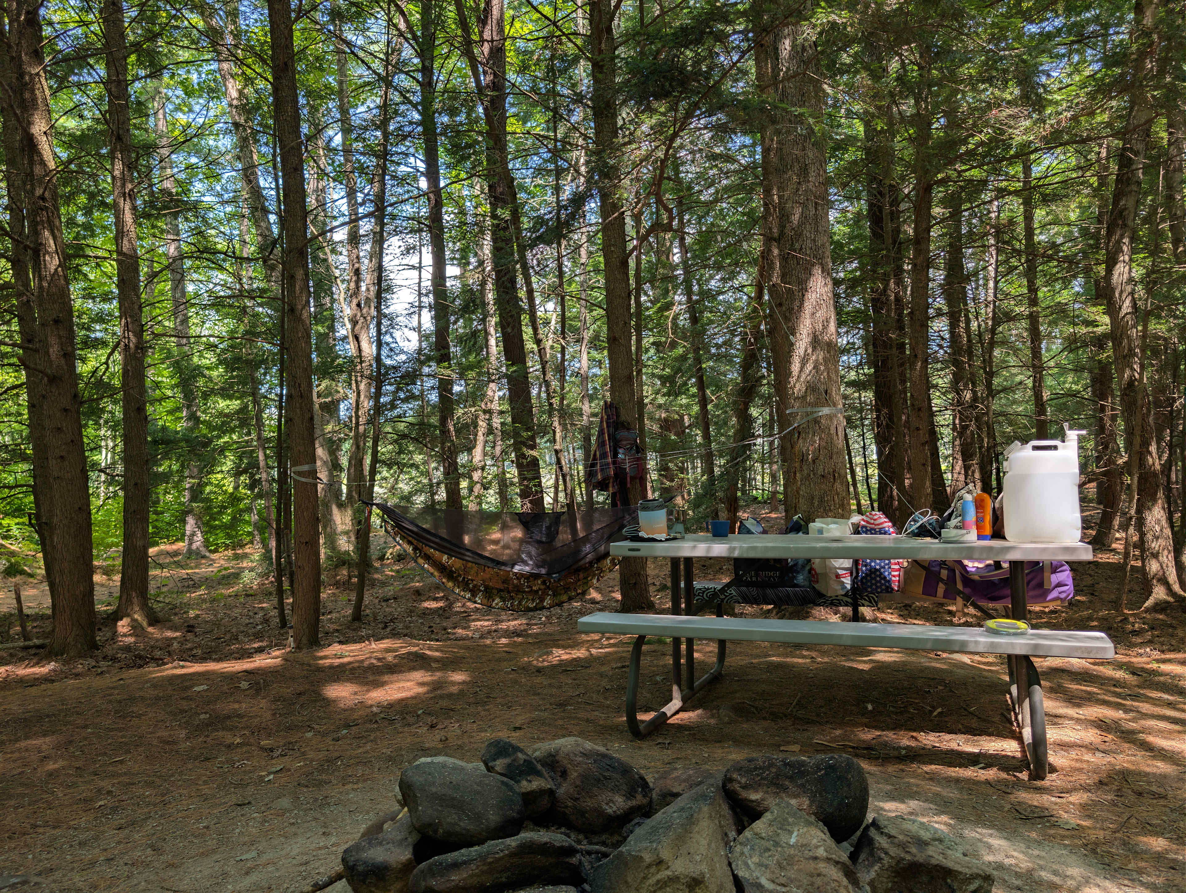 Site 10 The Pines 