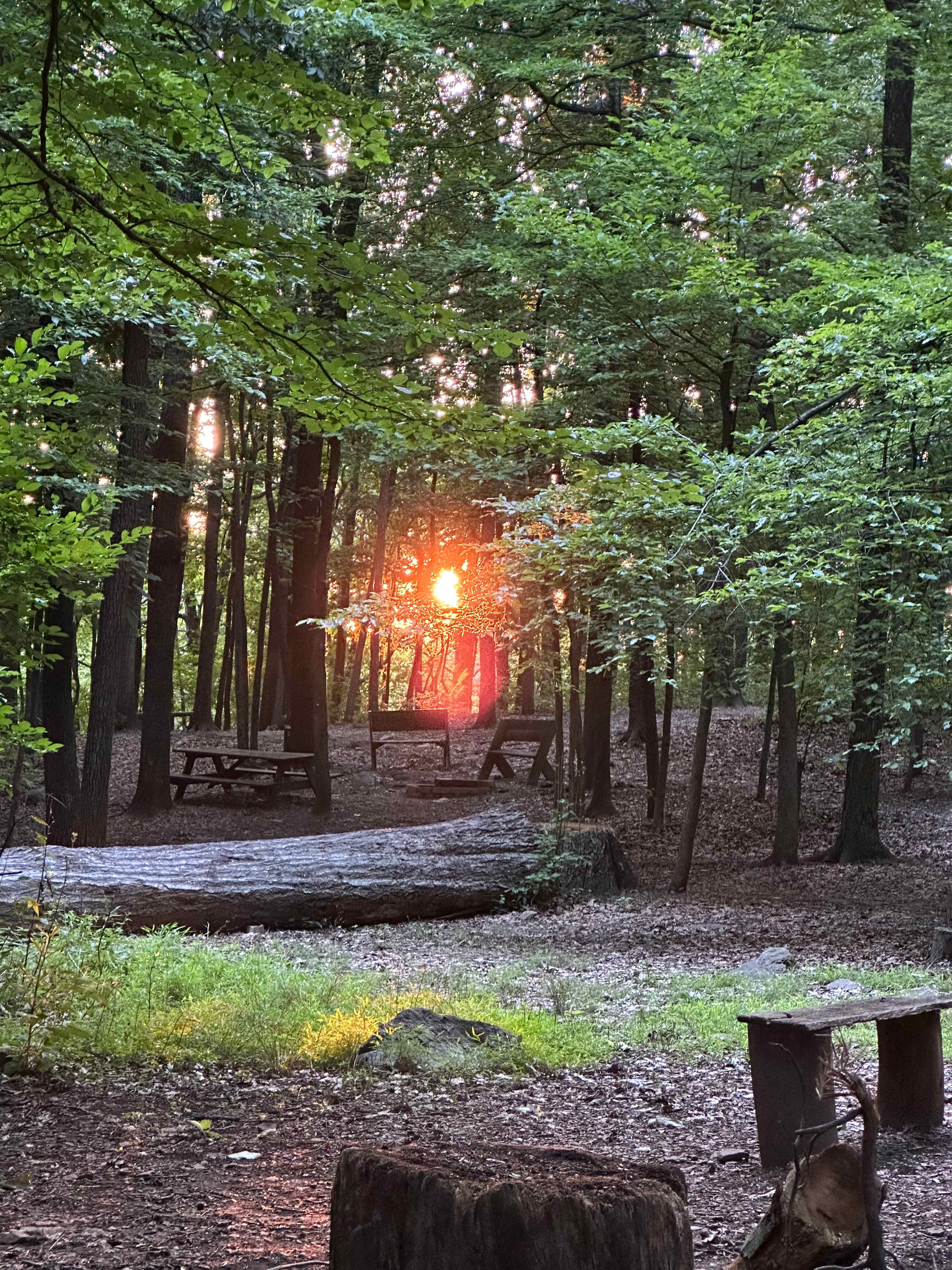 Another sunset...