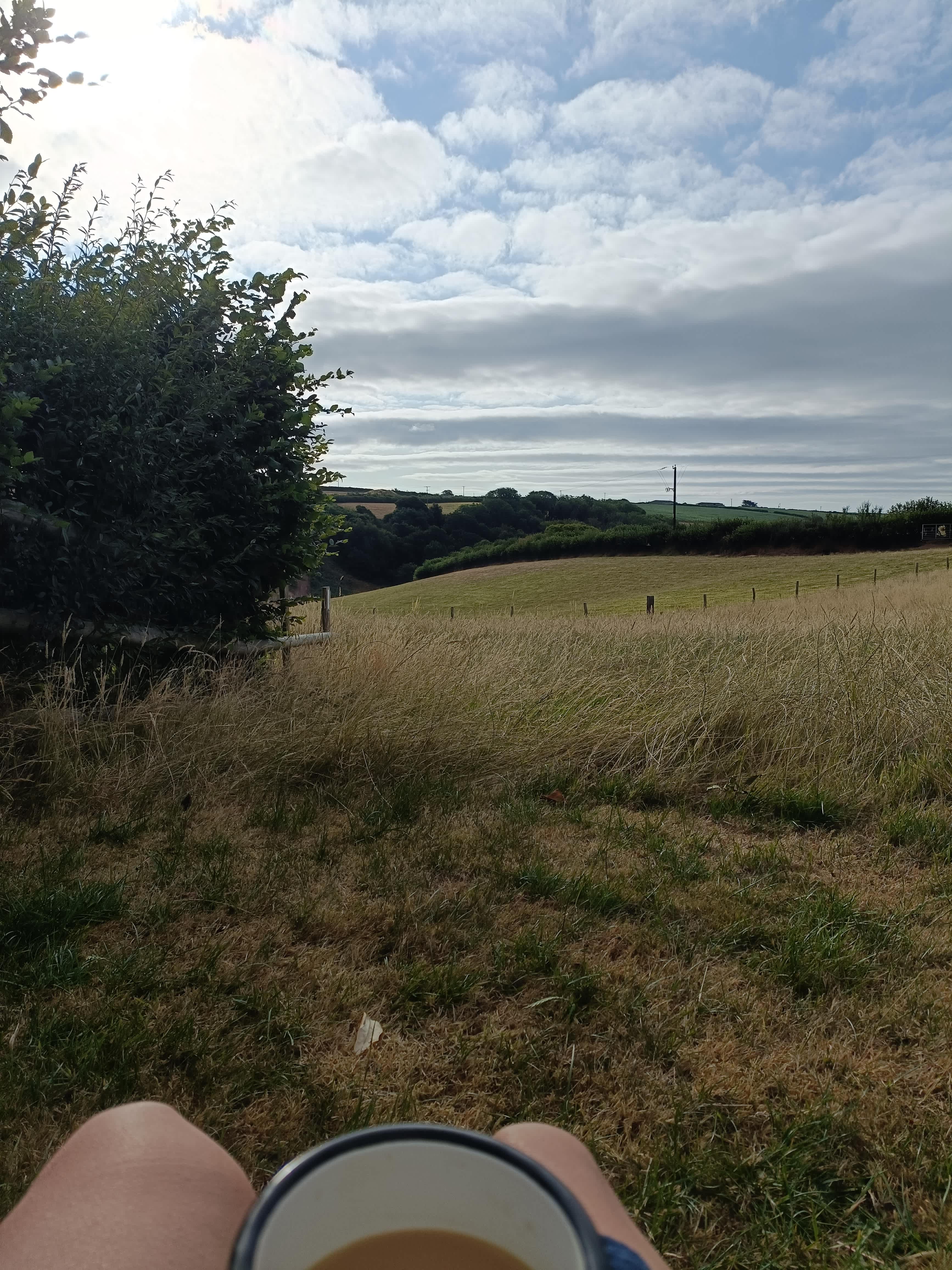 Pittaford Farm