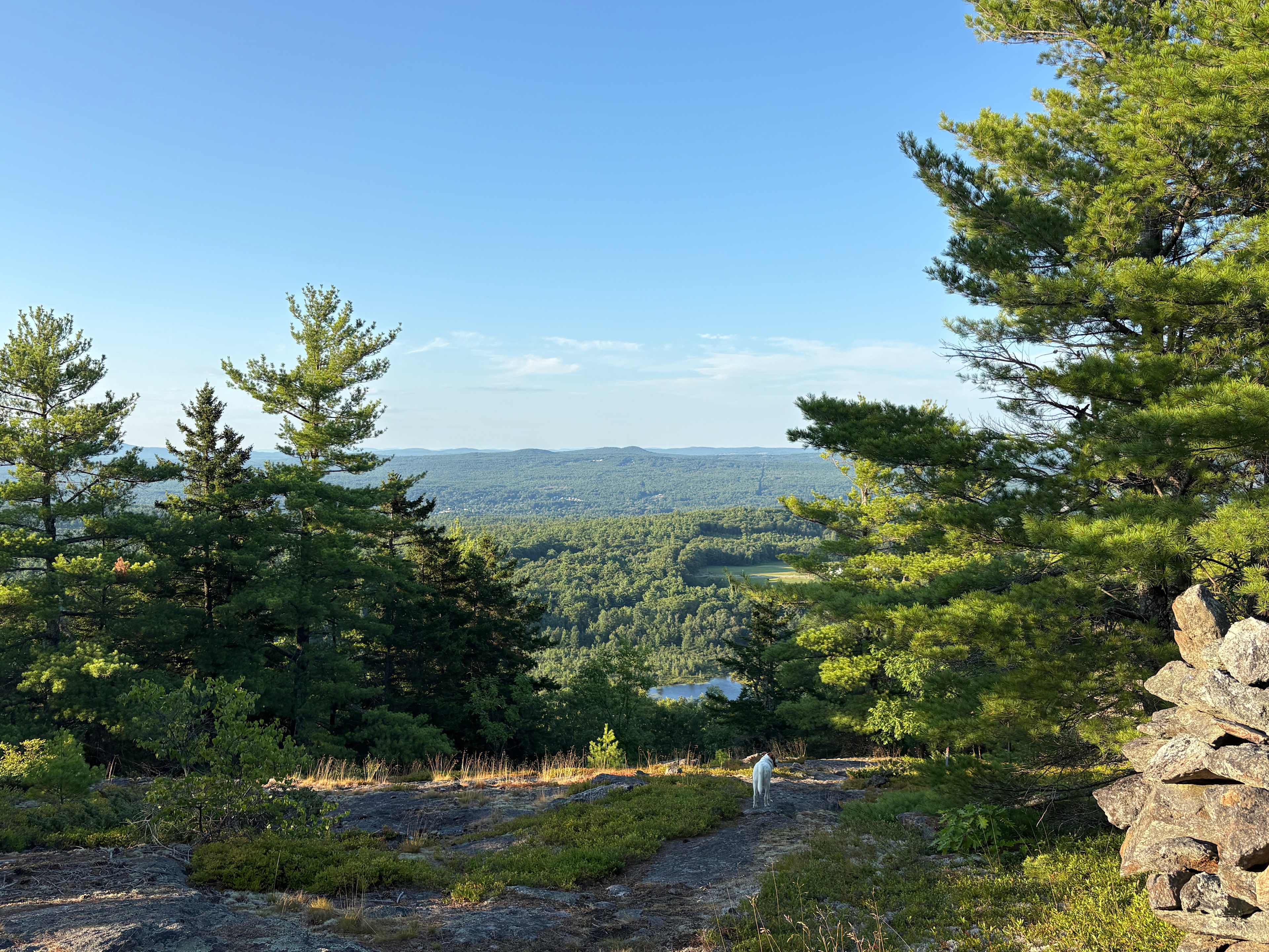 Hussey Mountain Tree Farm
