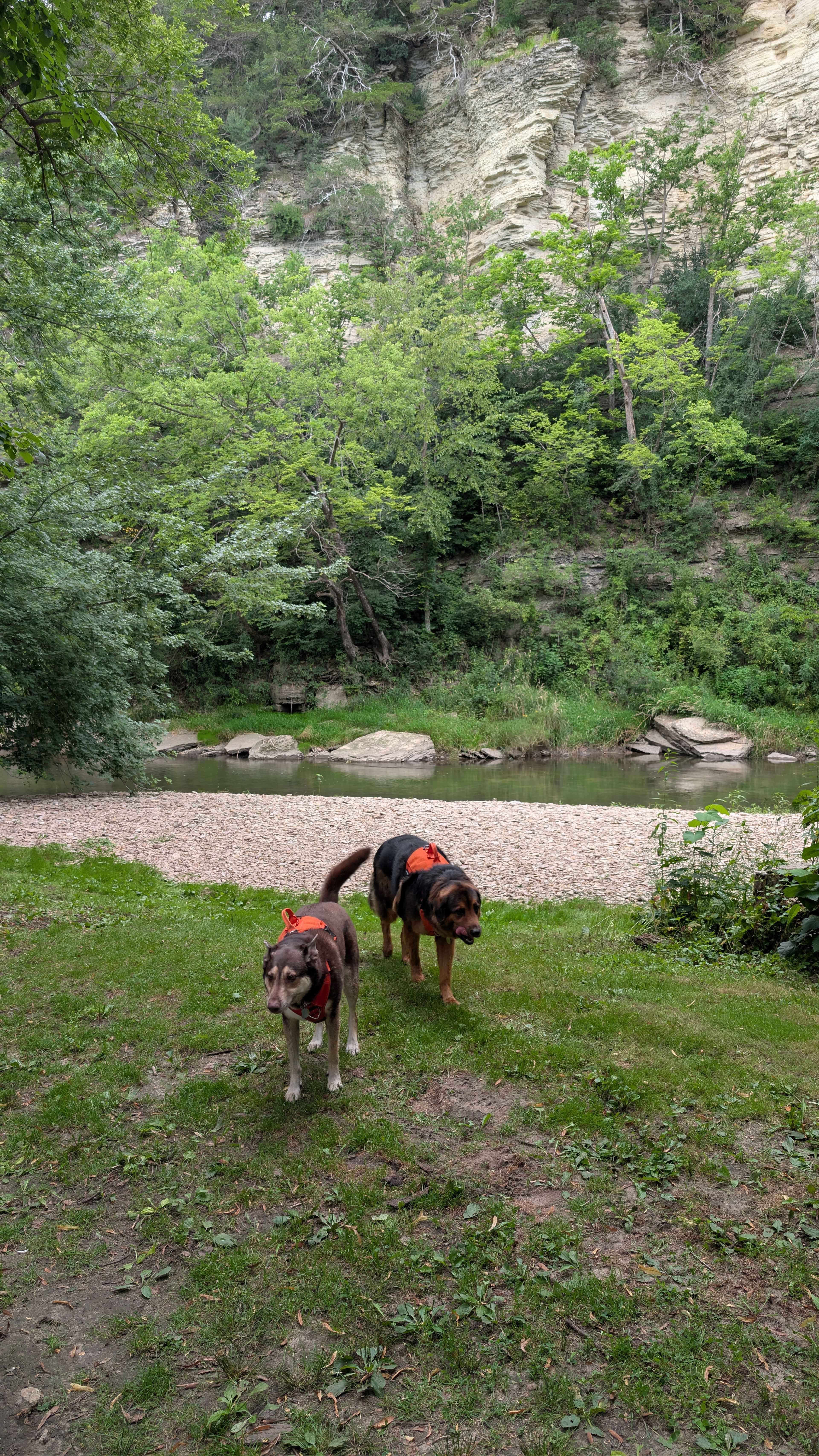 Bluff Hollow Camp on the Root River