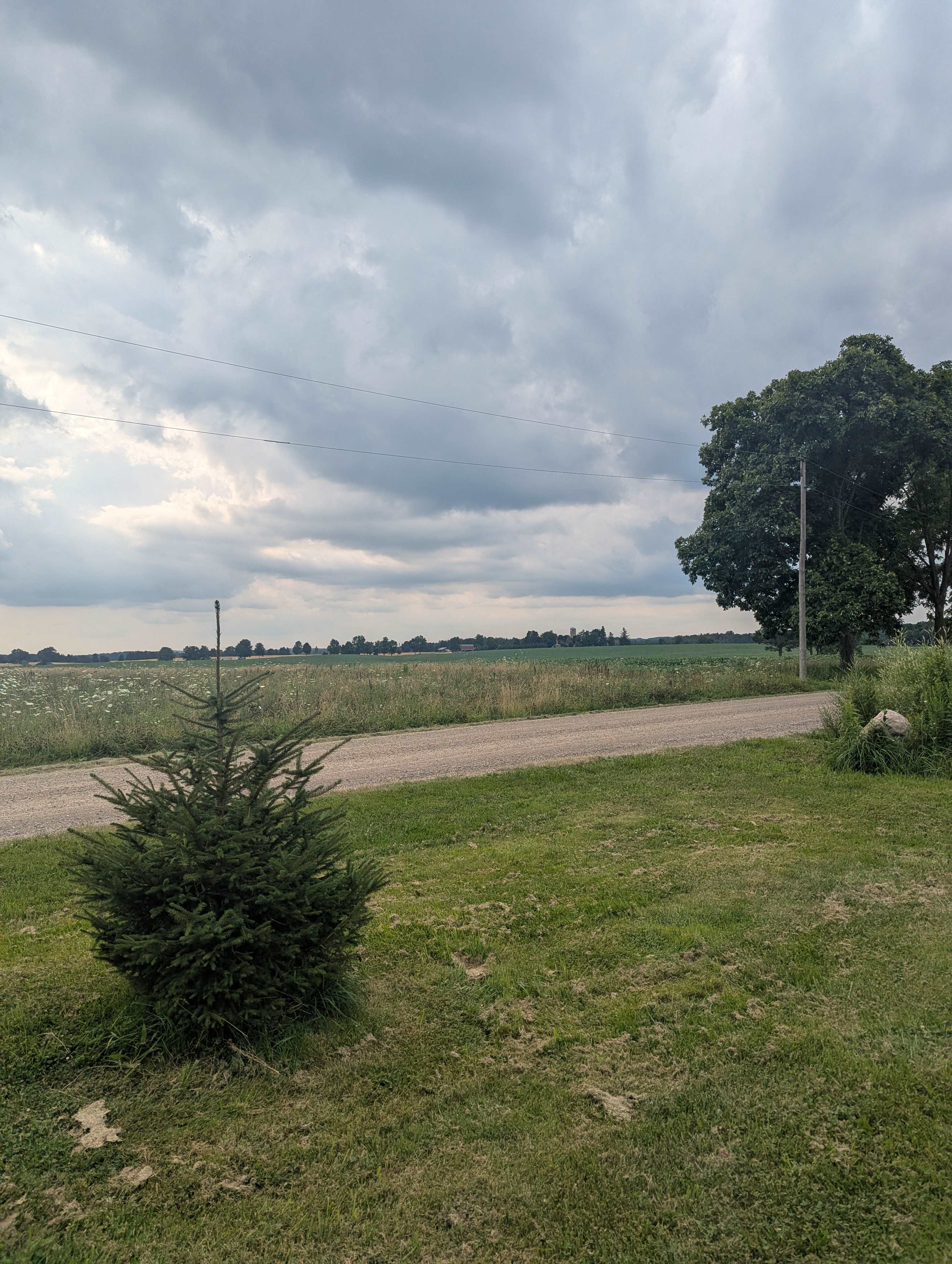 The Farm