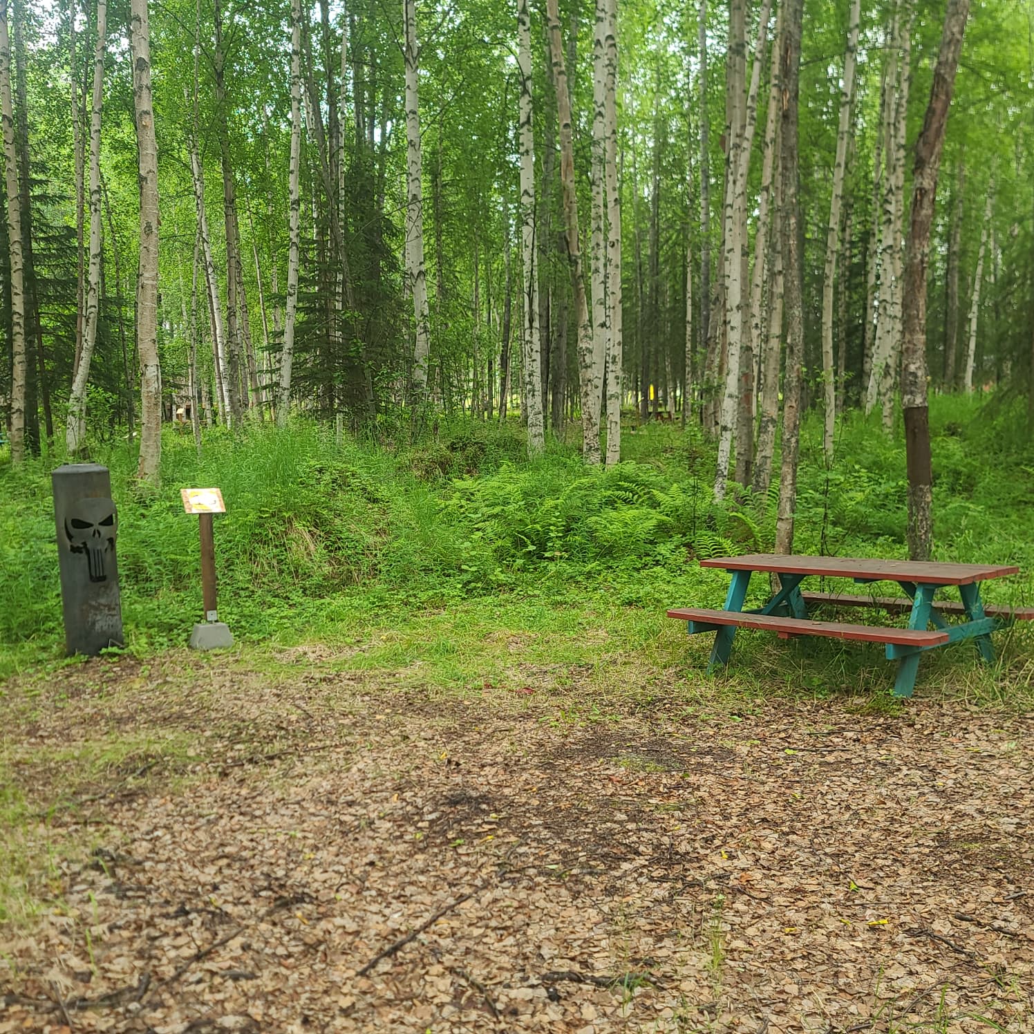 Picture of the site