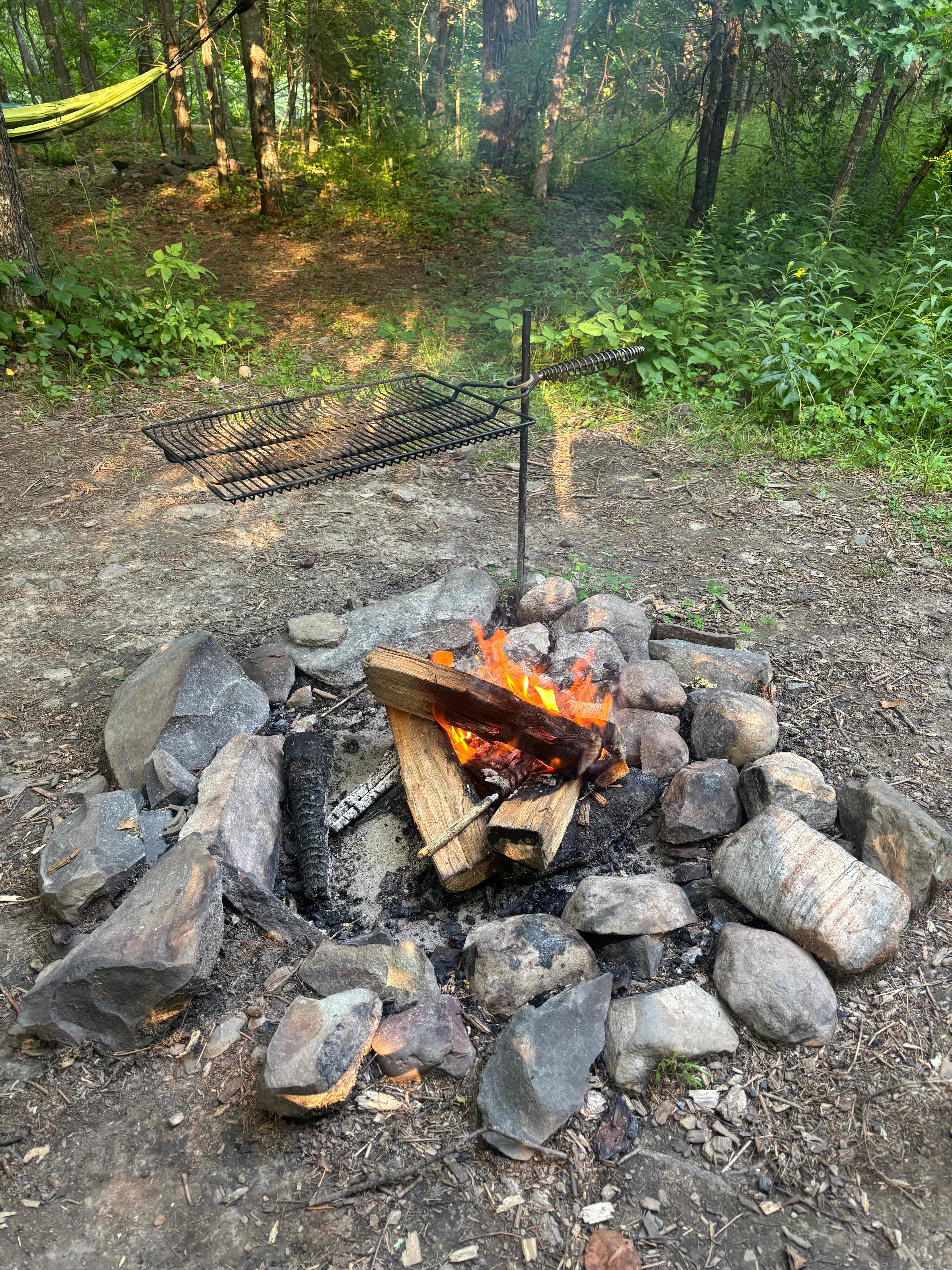 Hickory Hollow