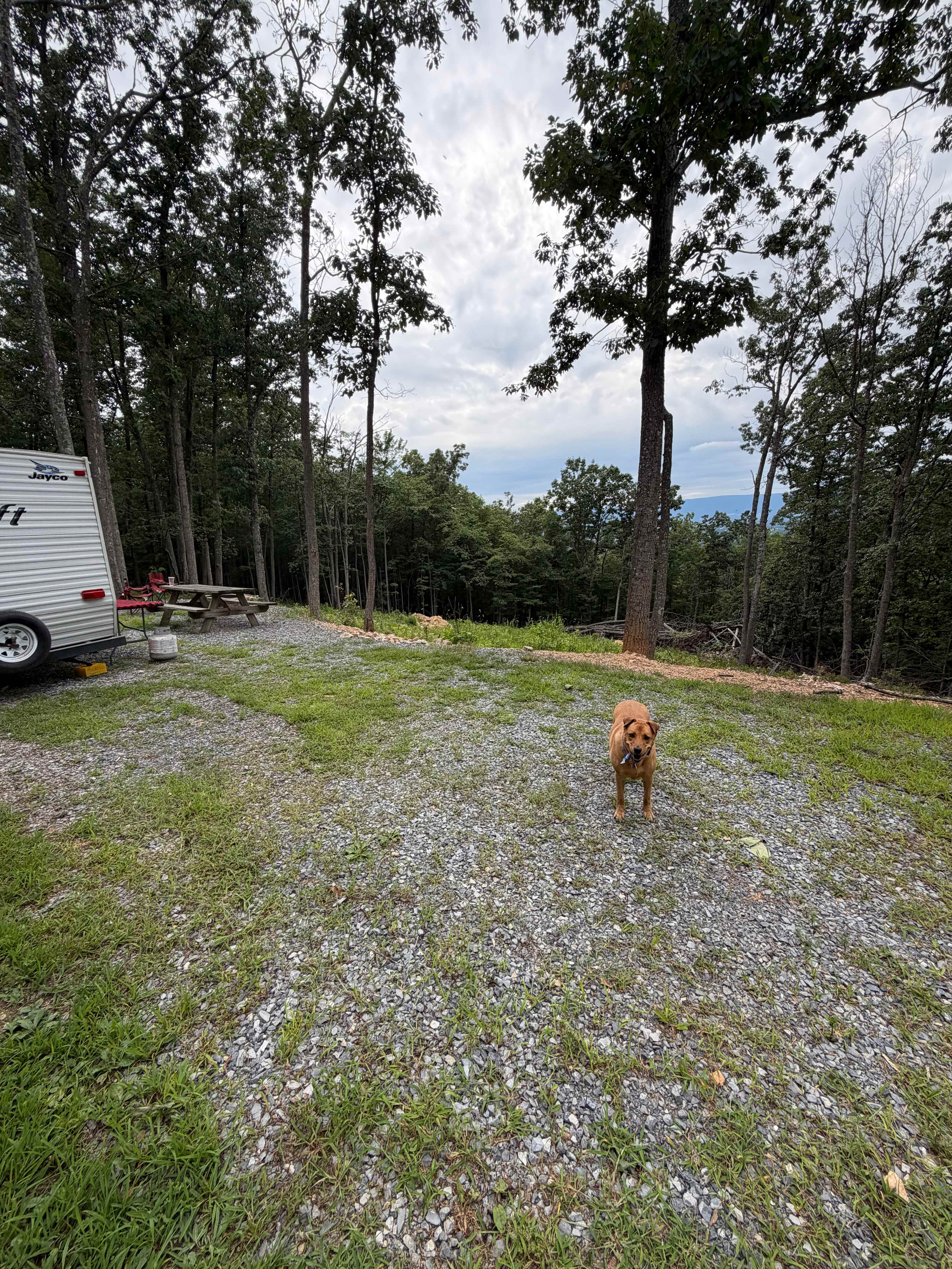 Picture of the site