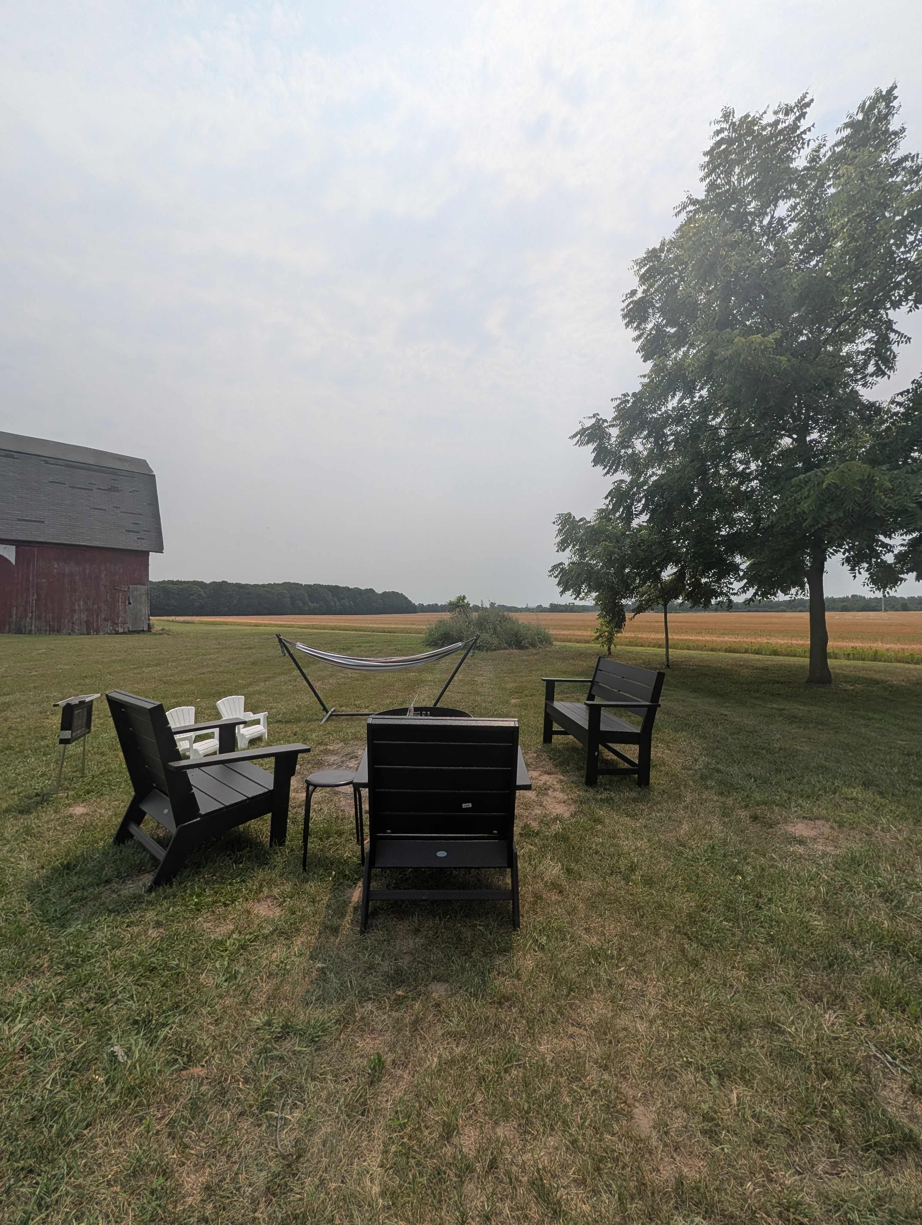 Picture of the site