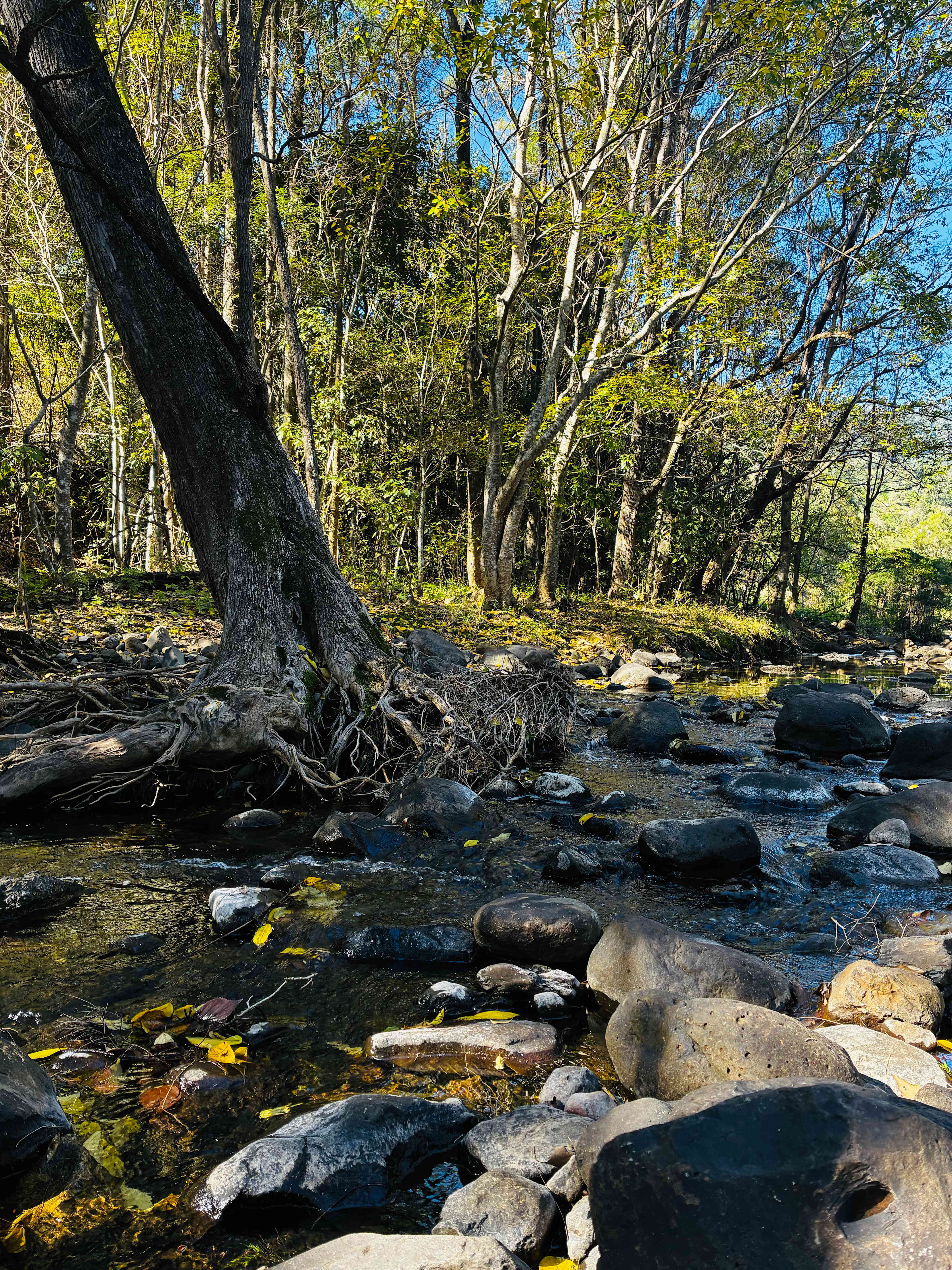 Tyungun Country Retreat