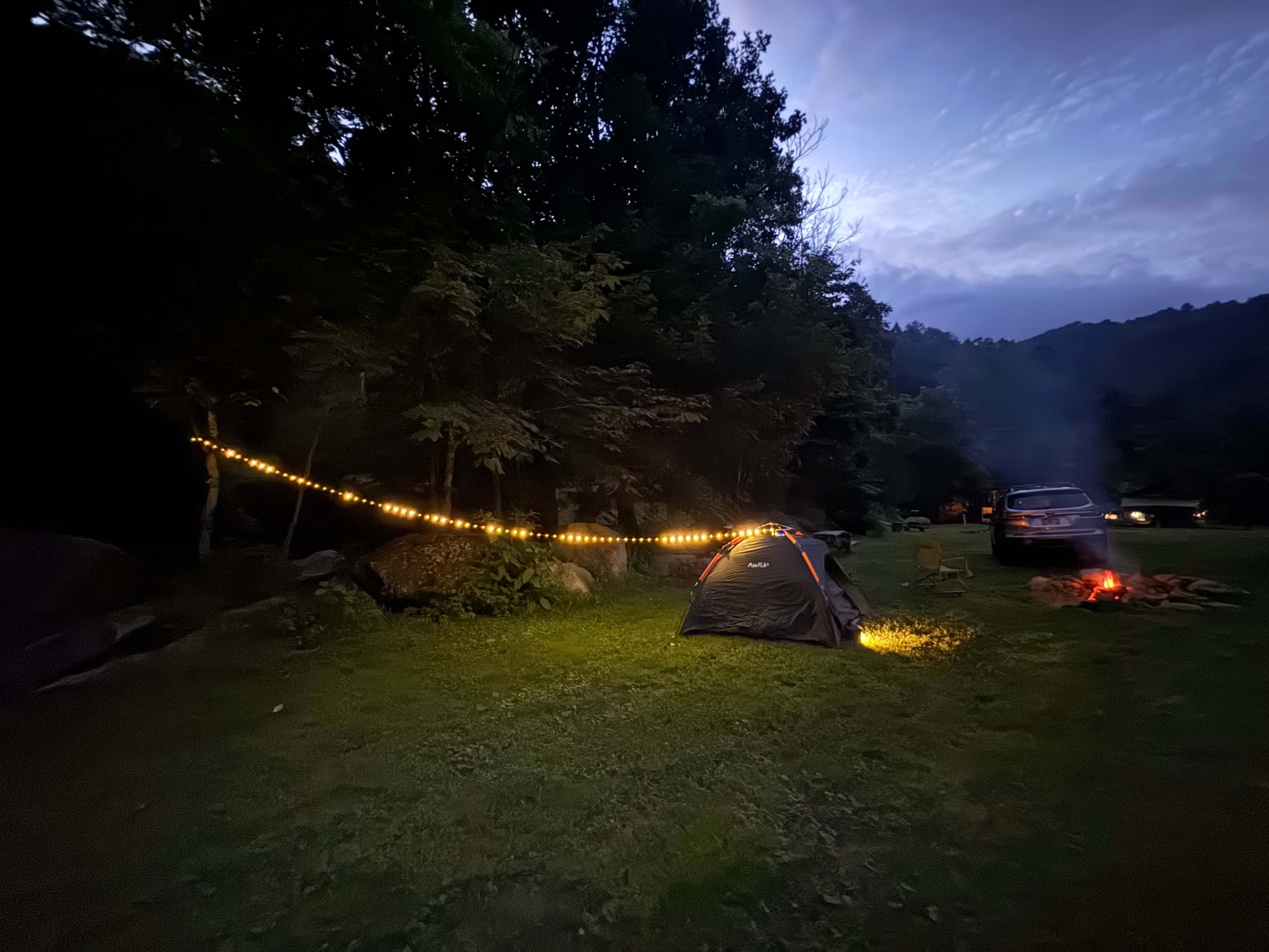 Creek side