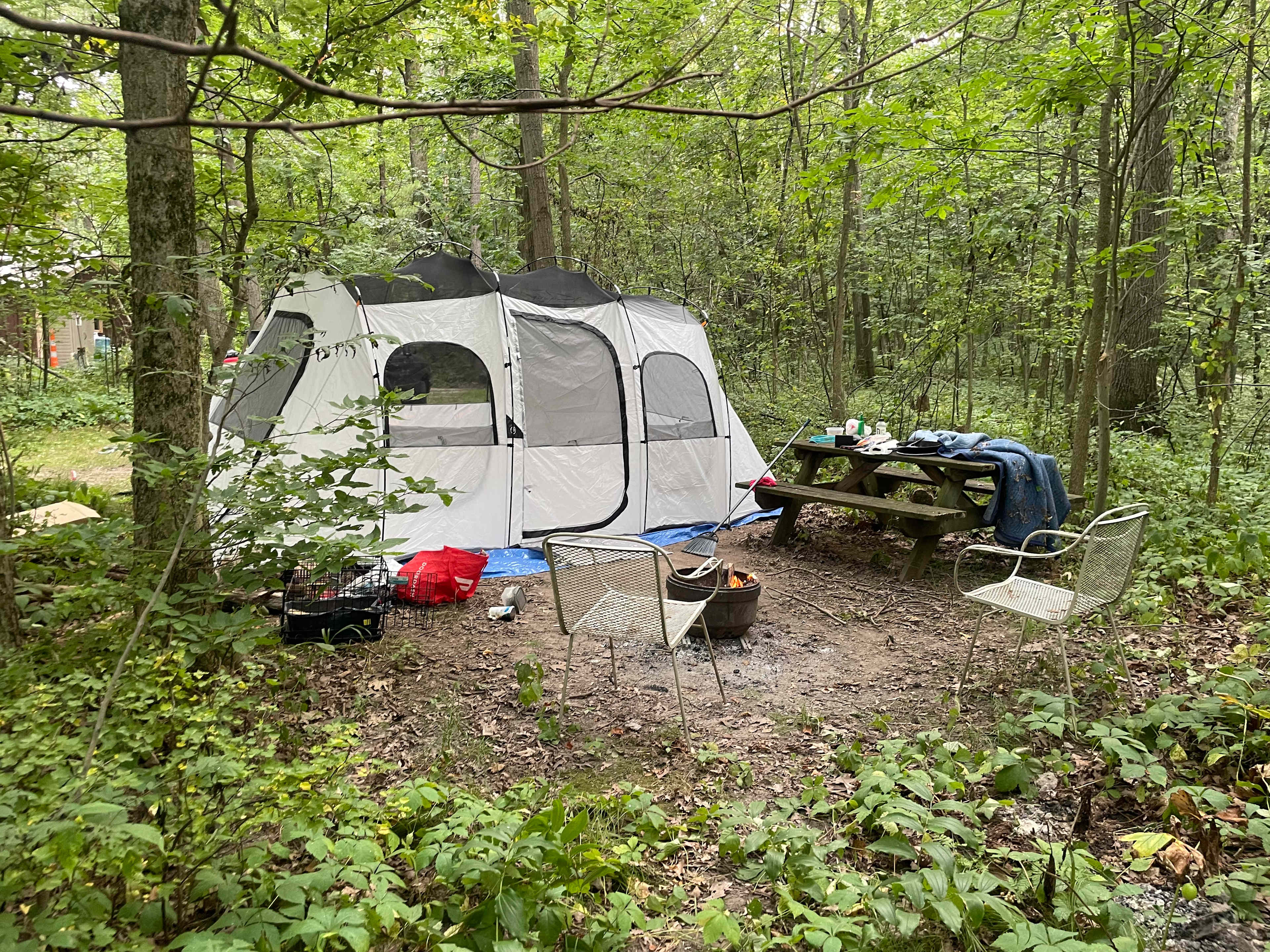 My set up