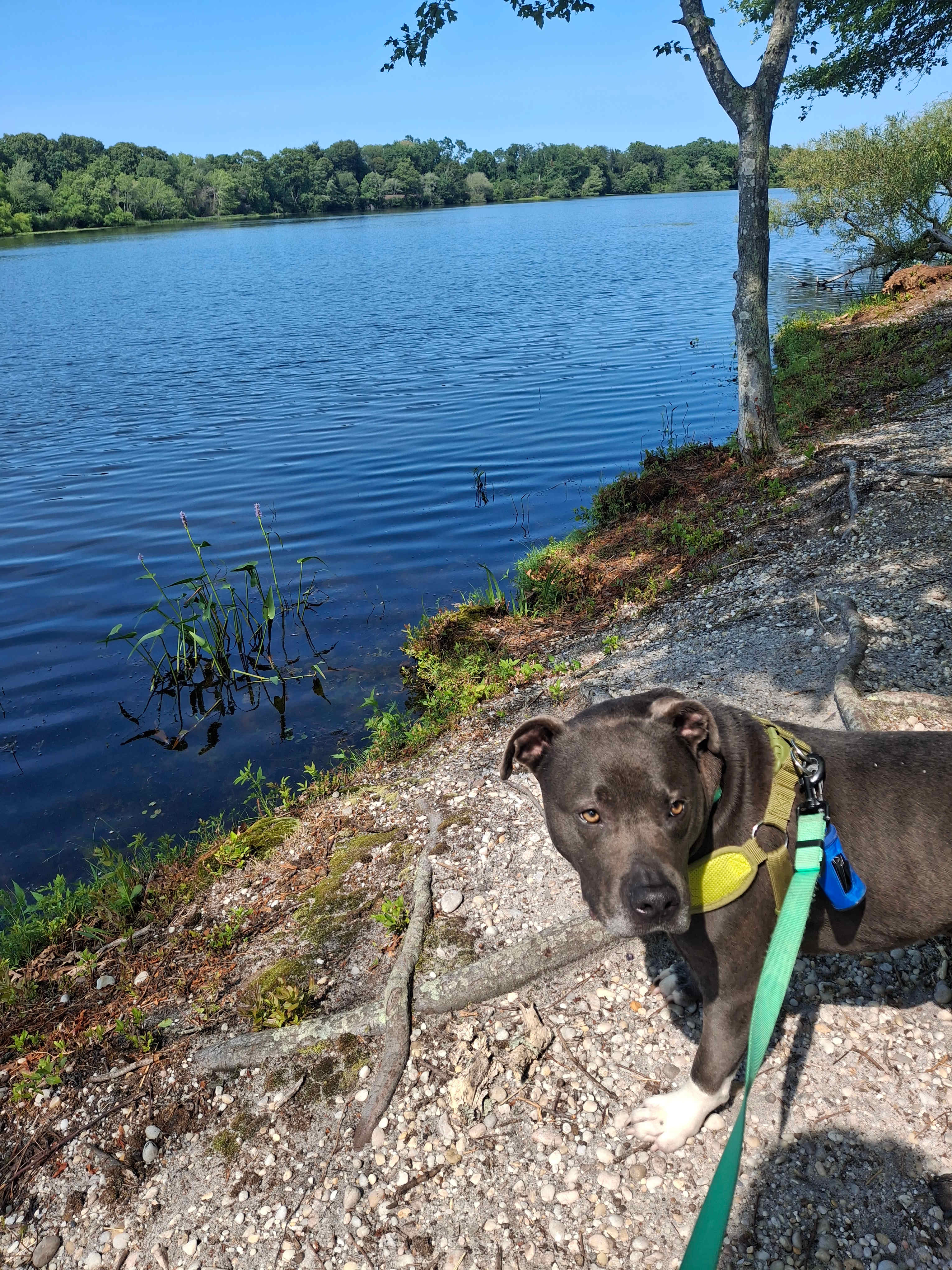 Peconic River Campgrounds