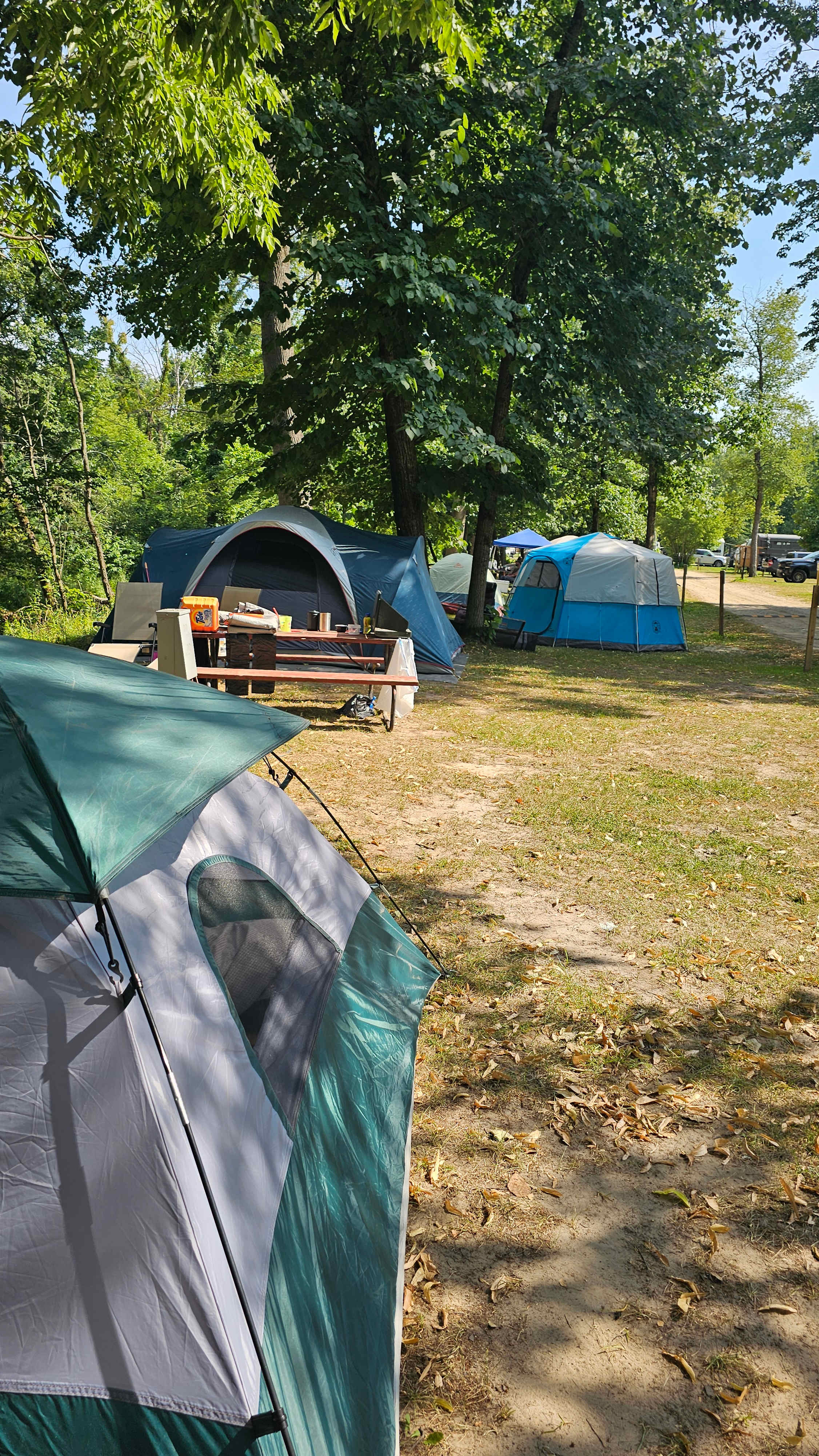 Black River Trails Campground