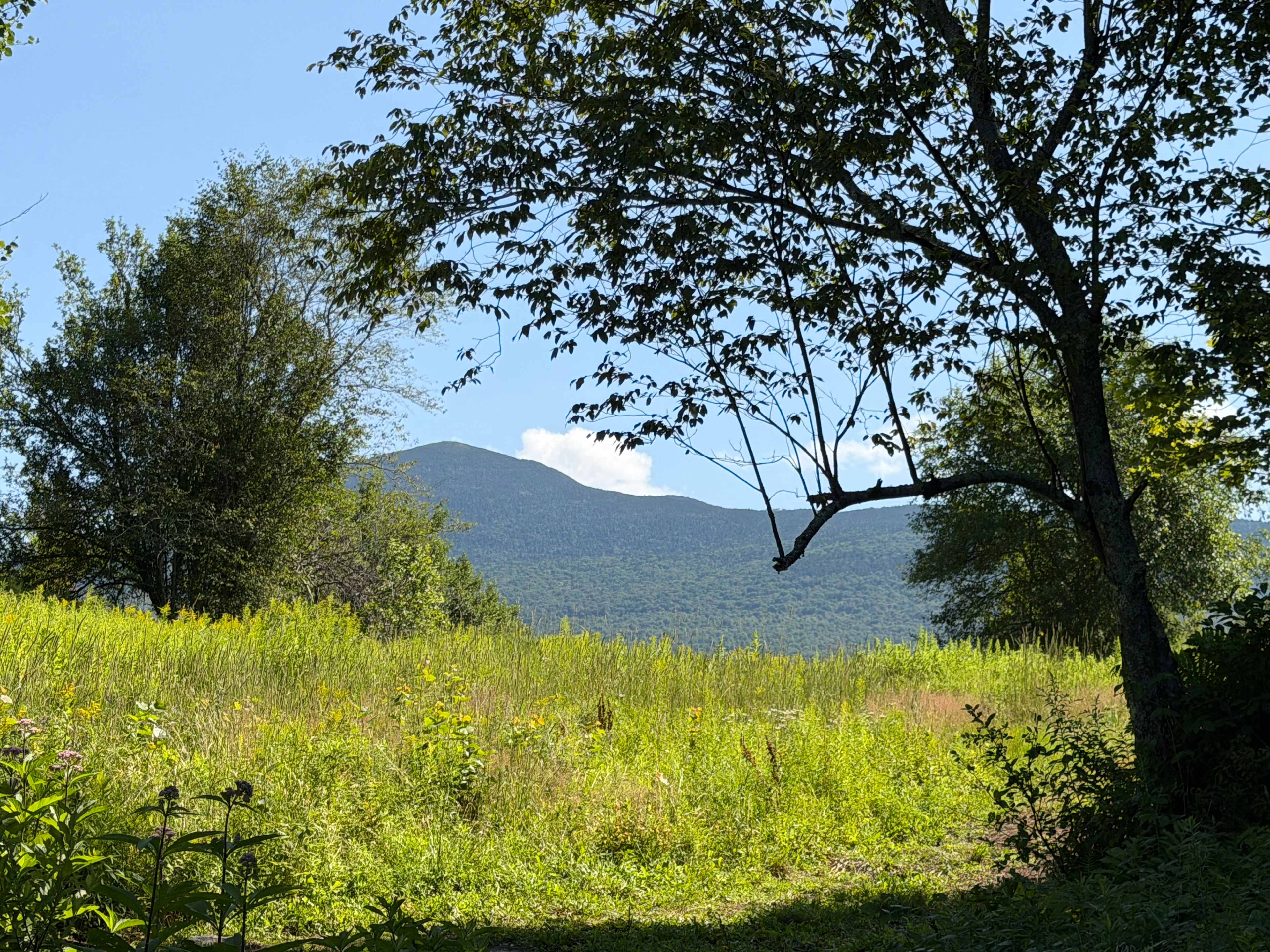 OneRiver Farm, Lincoln, Vermont