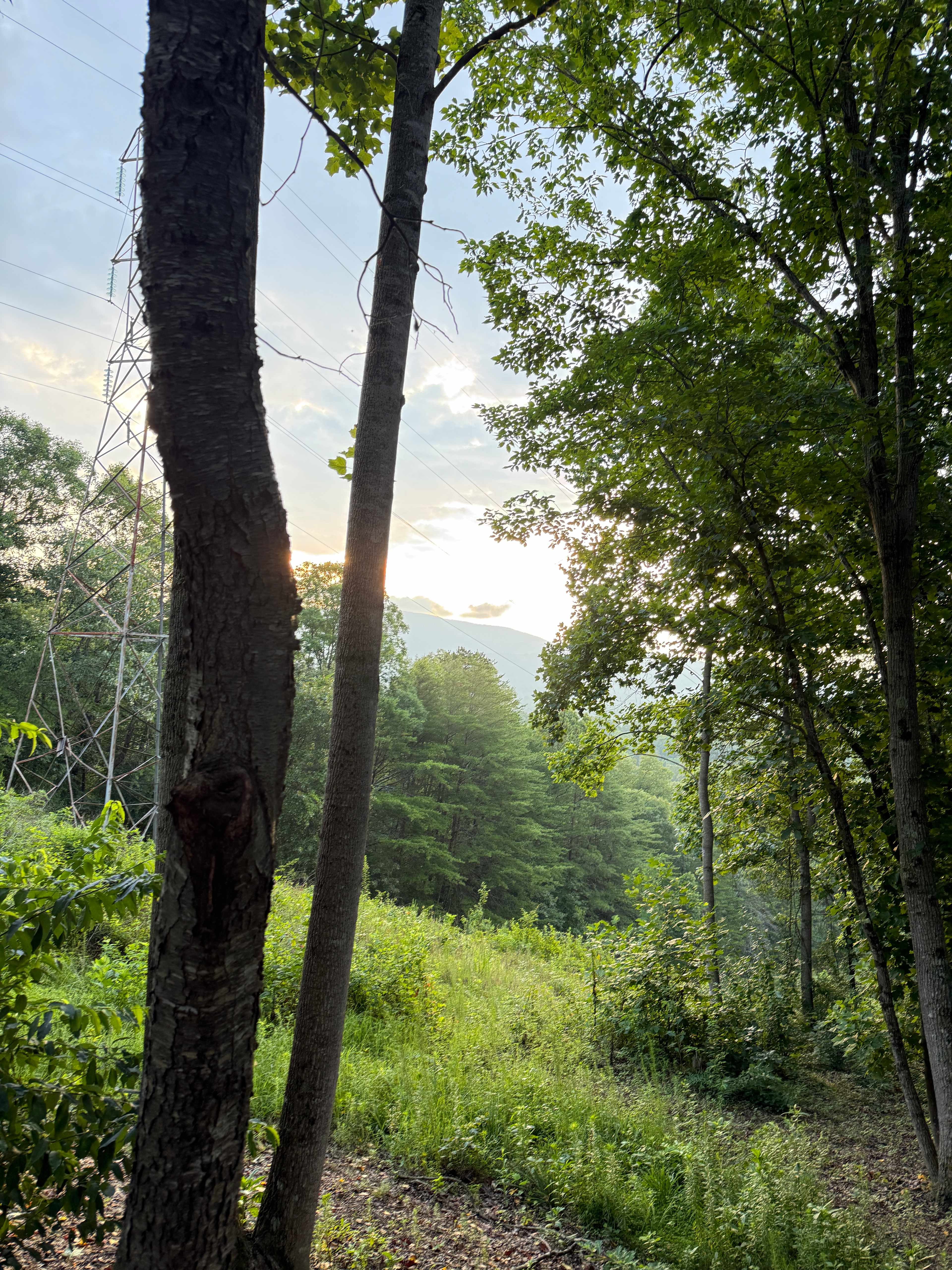 Smith Mountain Camping