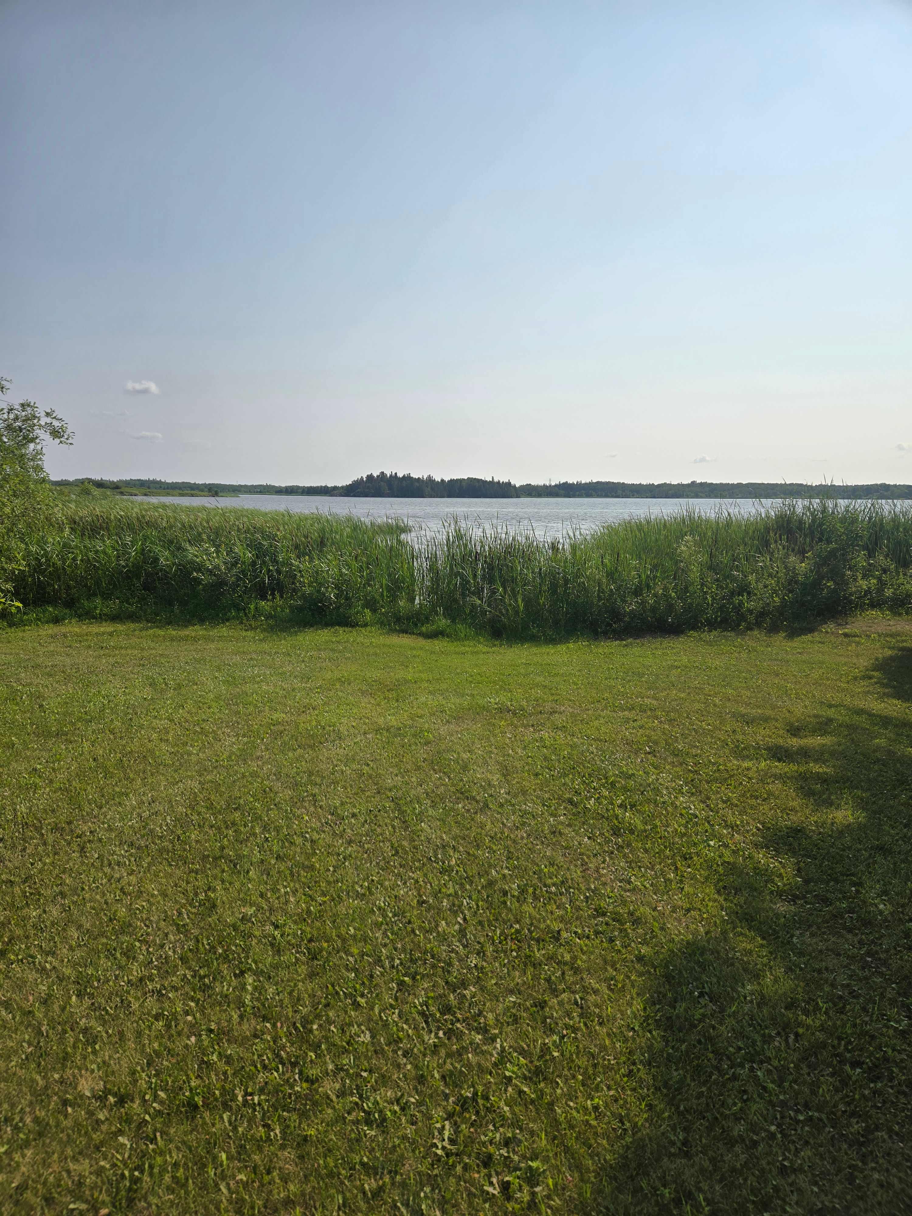 Boreal Forest River Retreat