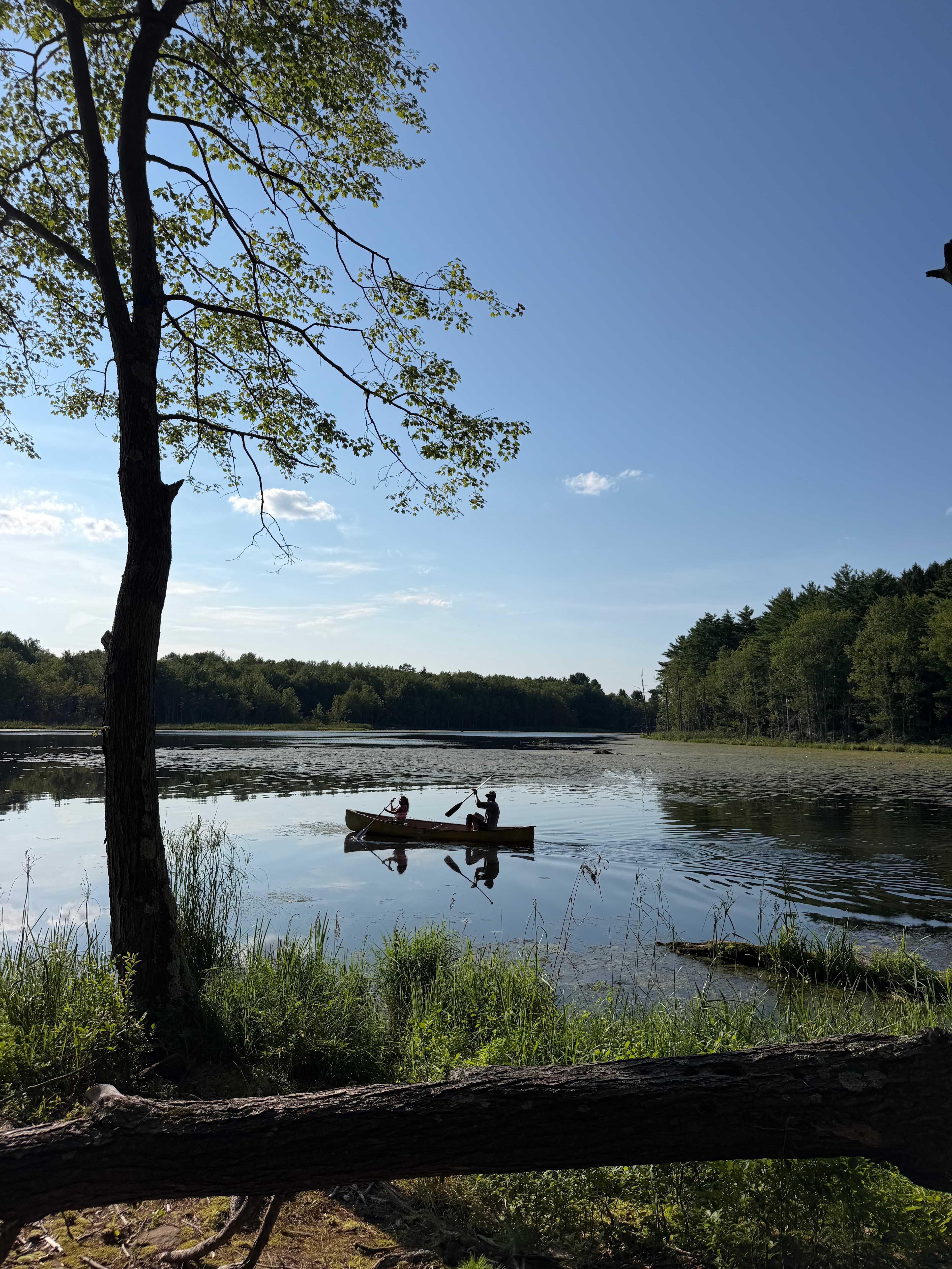 The Dam House At Beaver Pond