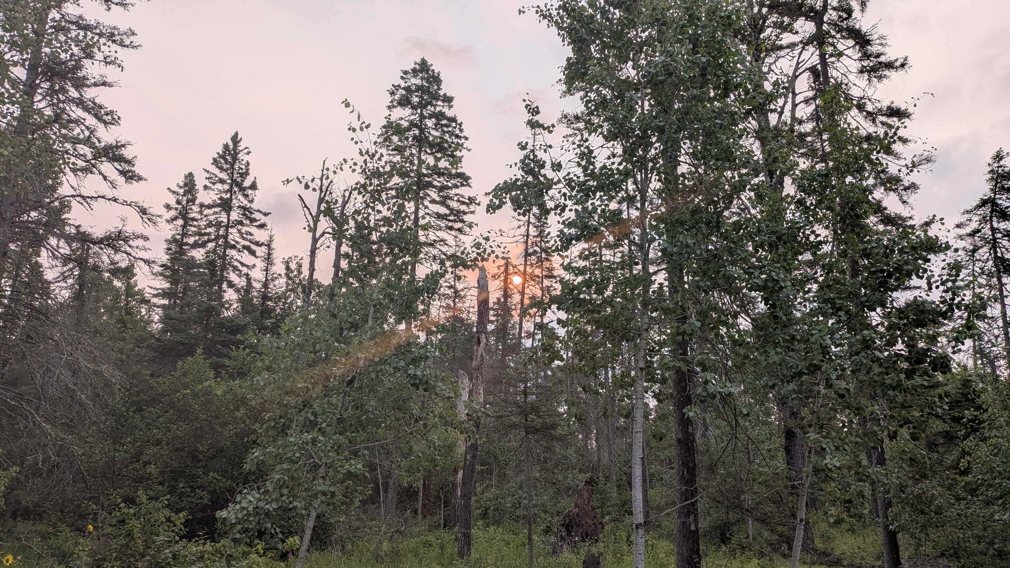 Off Grid Auroras