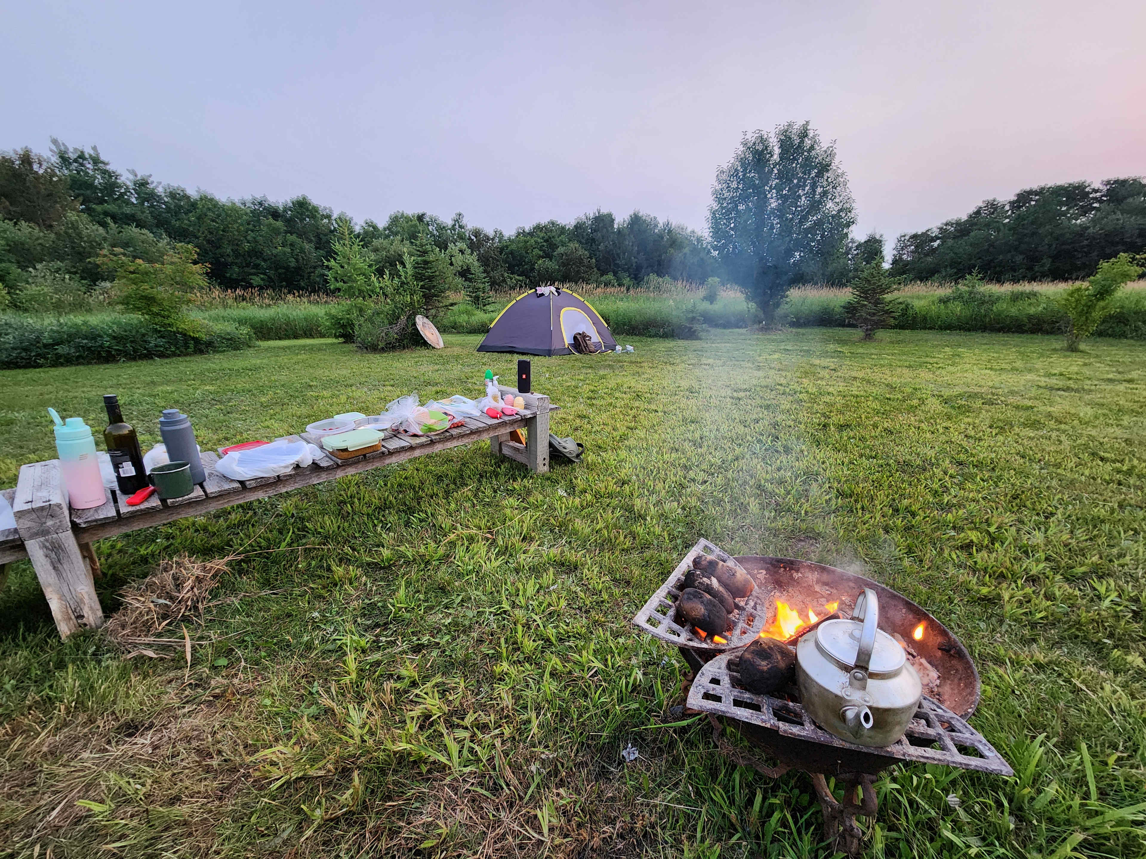 Forested Meadow at Beach Resort