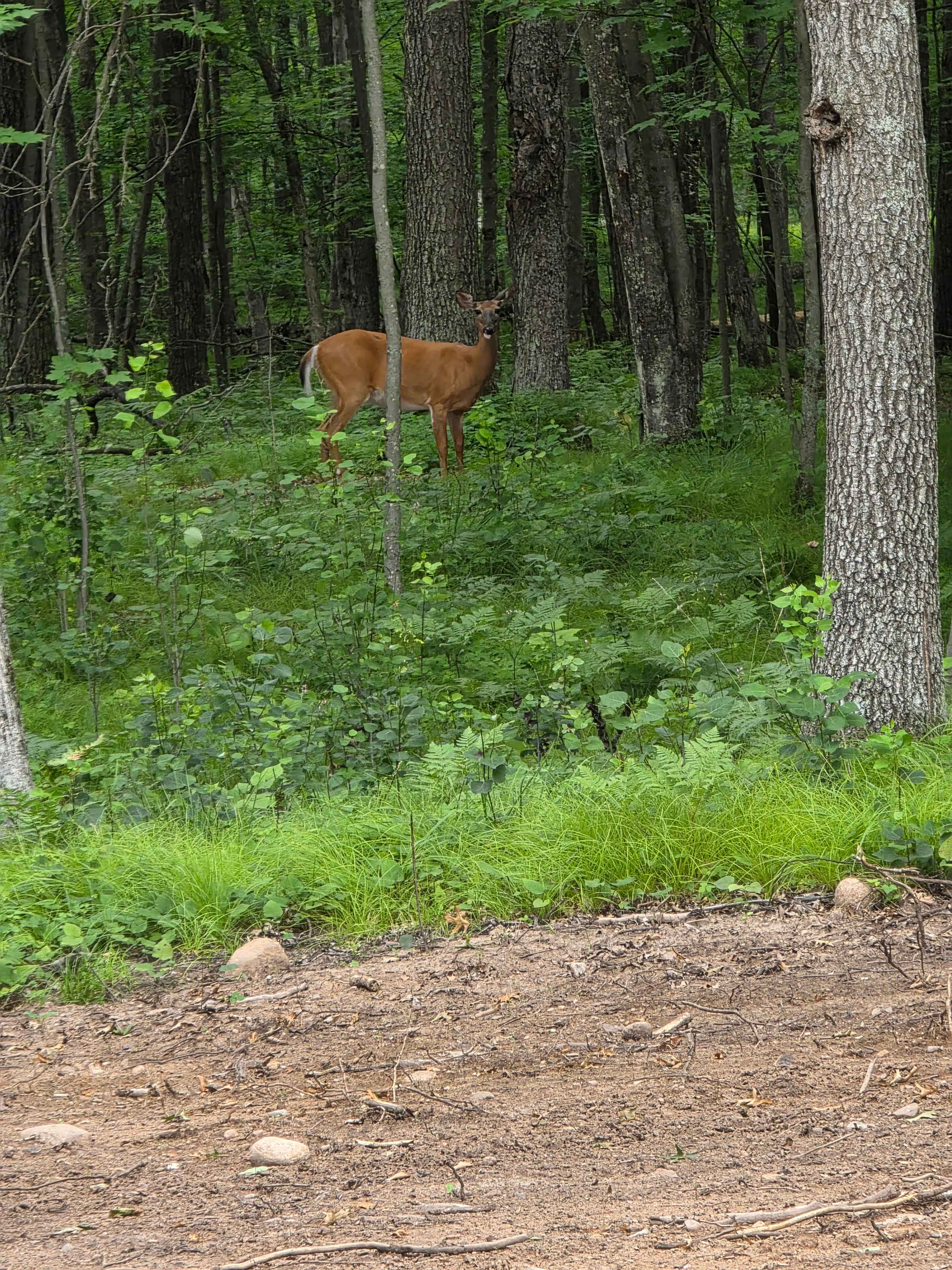 About 20ft behind our camper