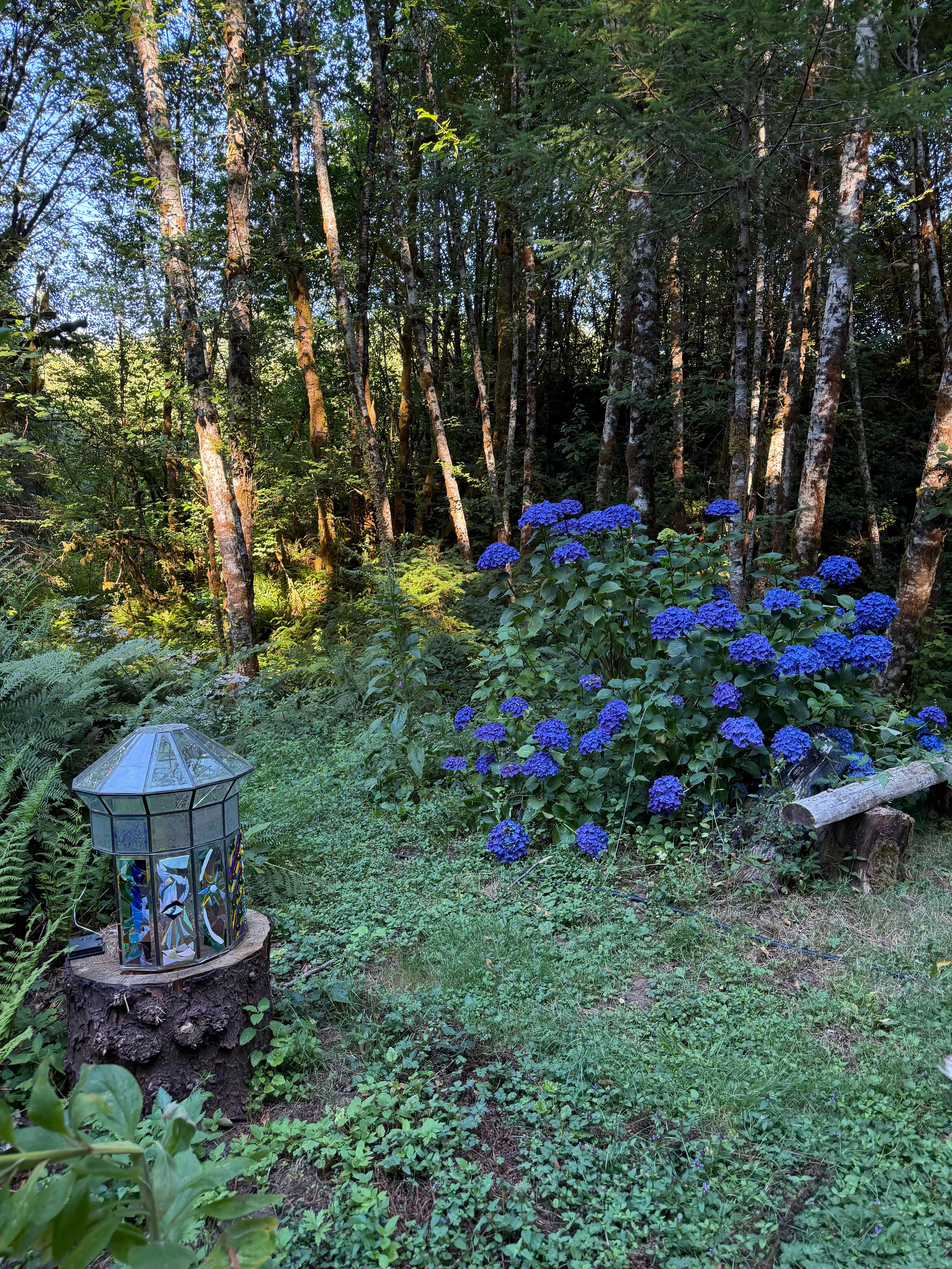 Nelson Mountain Gardens