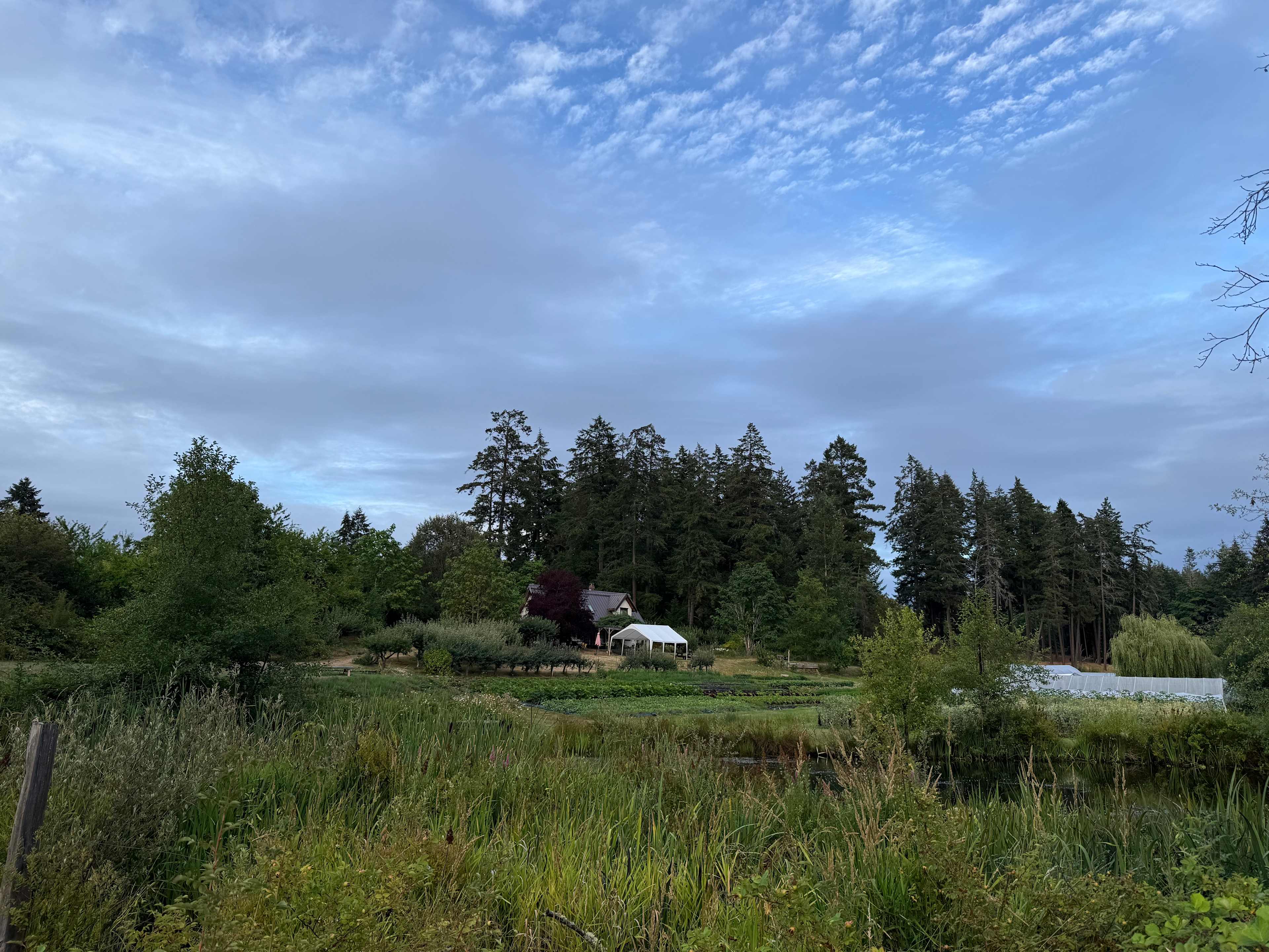 Duck Creek Farm