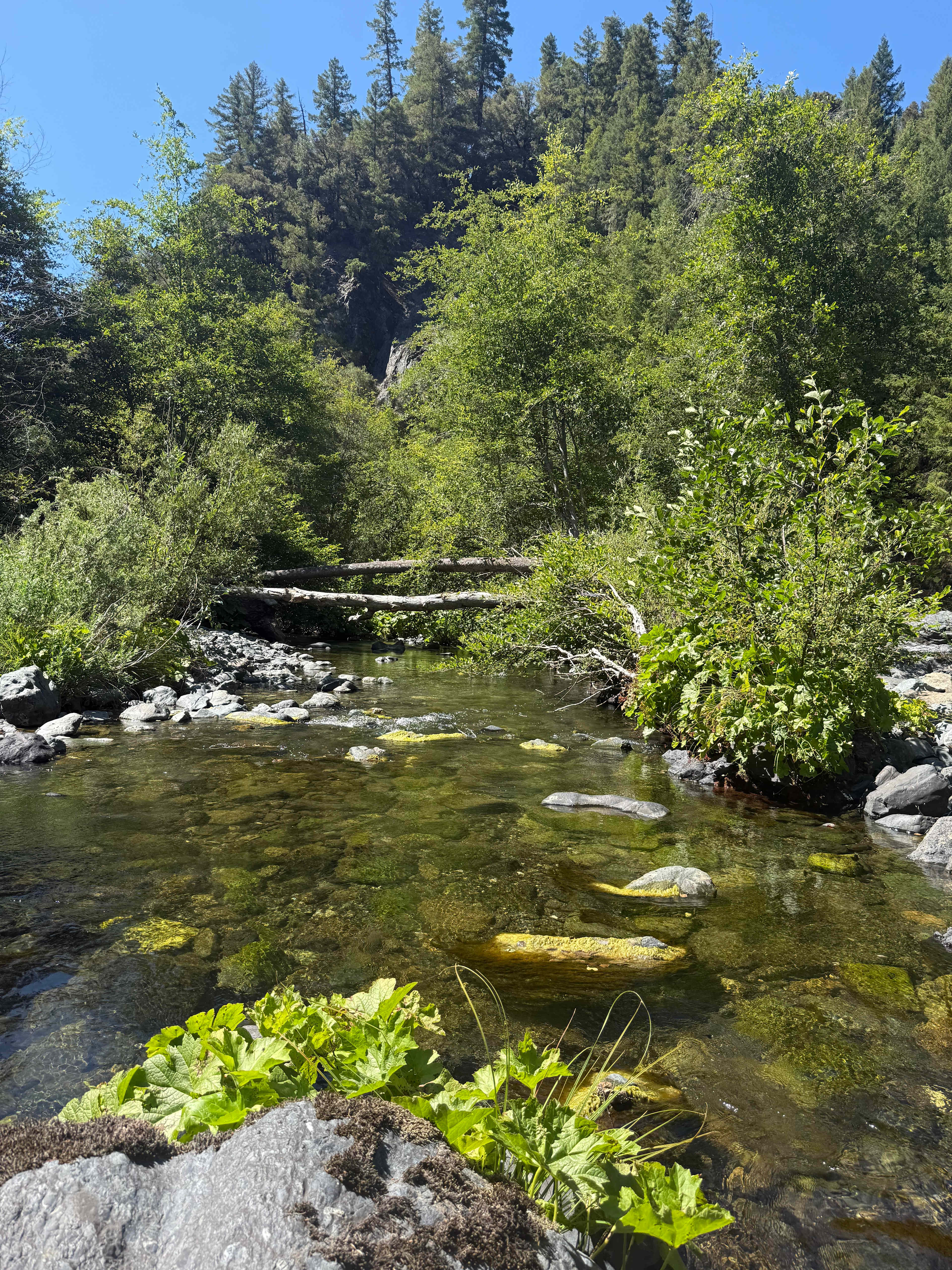 A very short walk up left from the campsite!