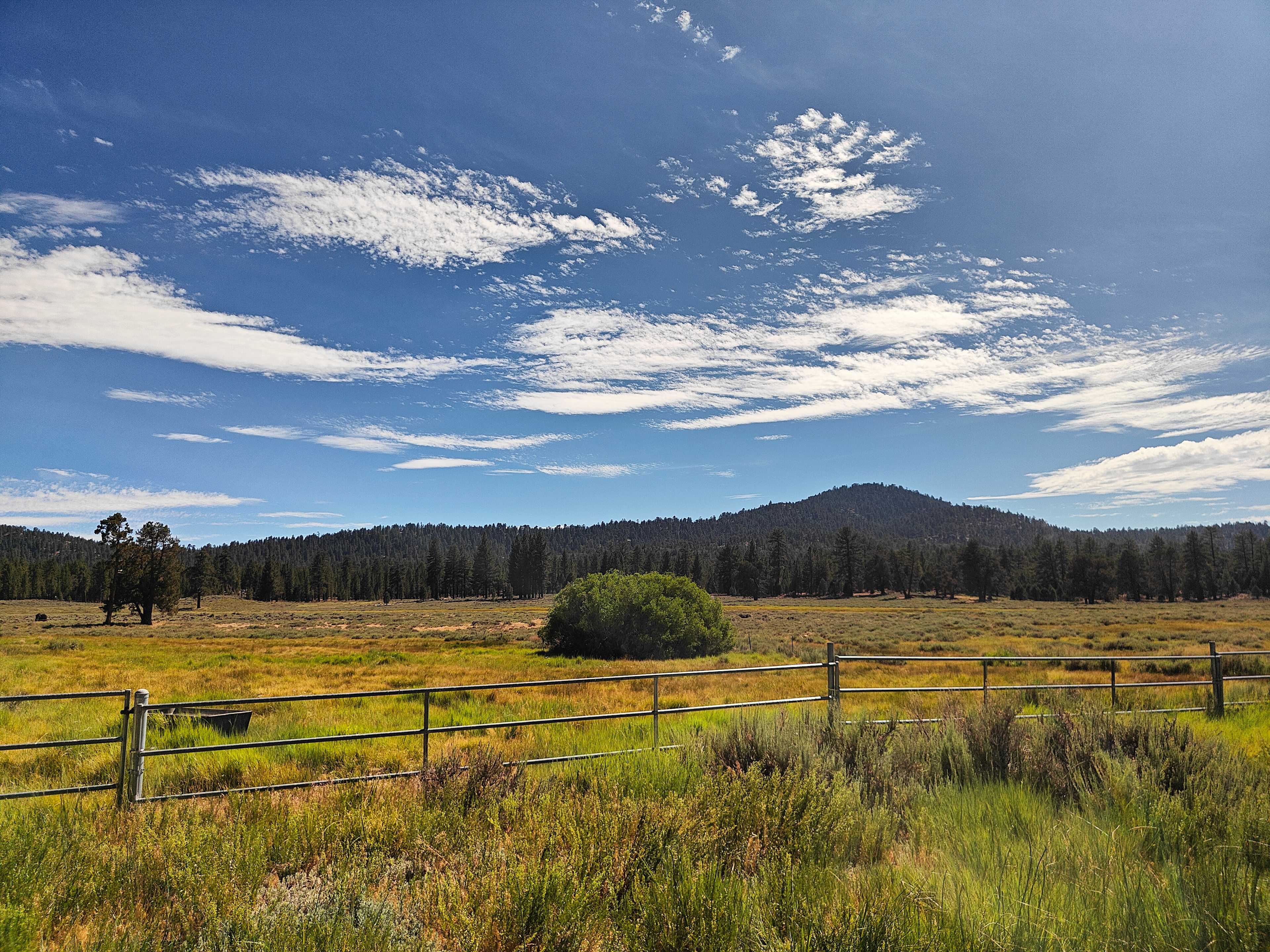 Holcomb Valley Ranch