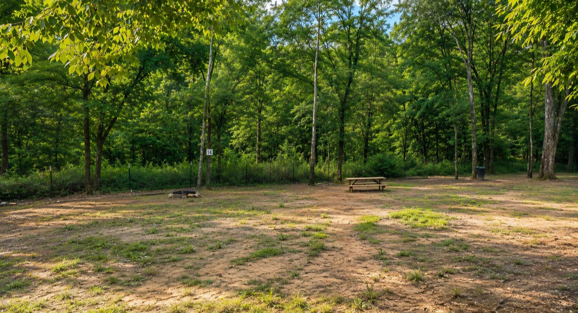 Picture of the site