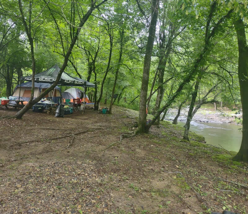 Picture of the site