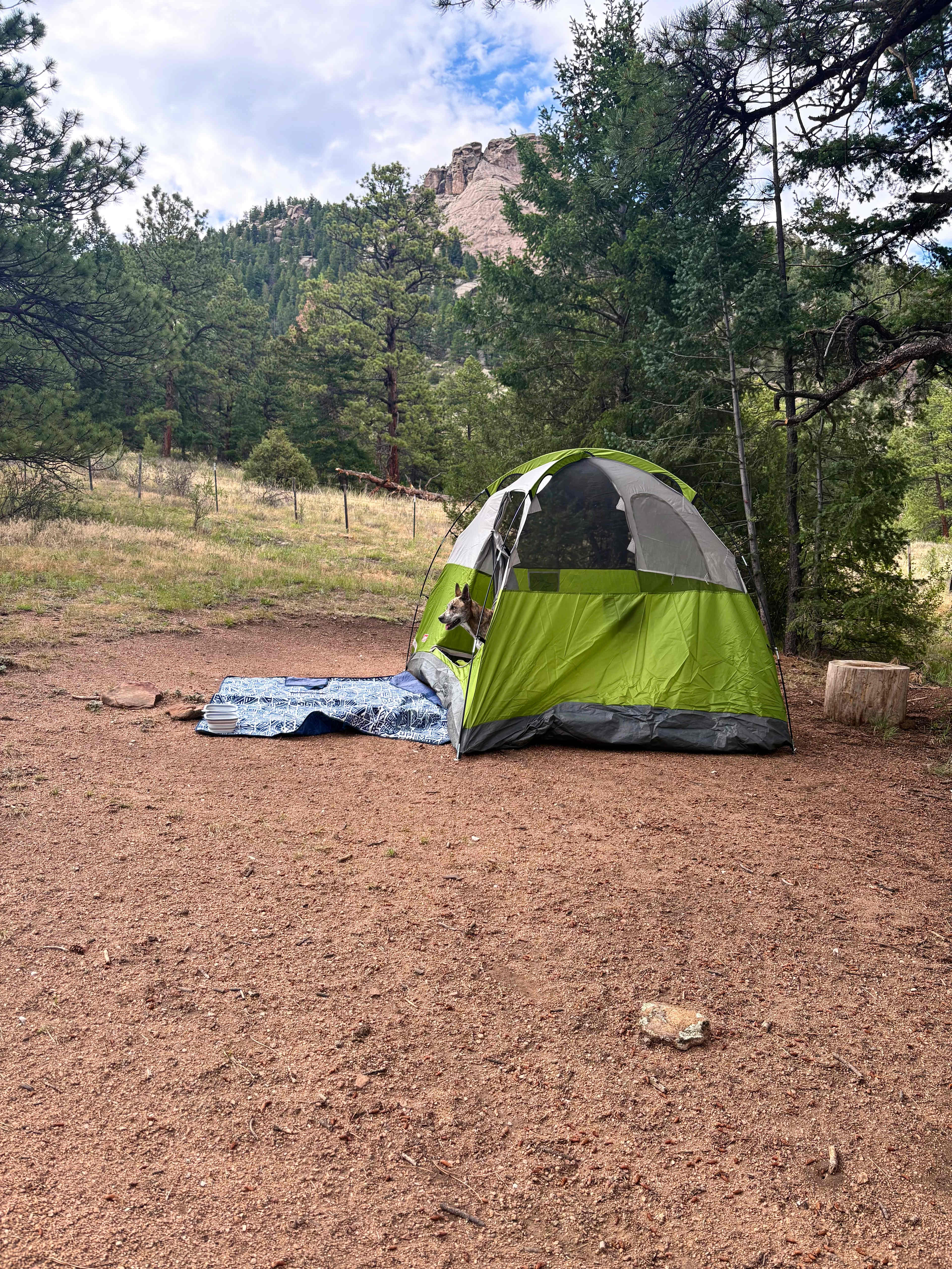 Little Scraggy Camp