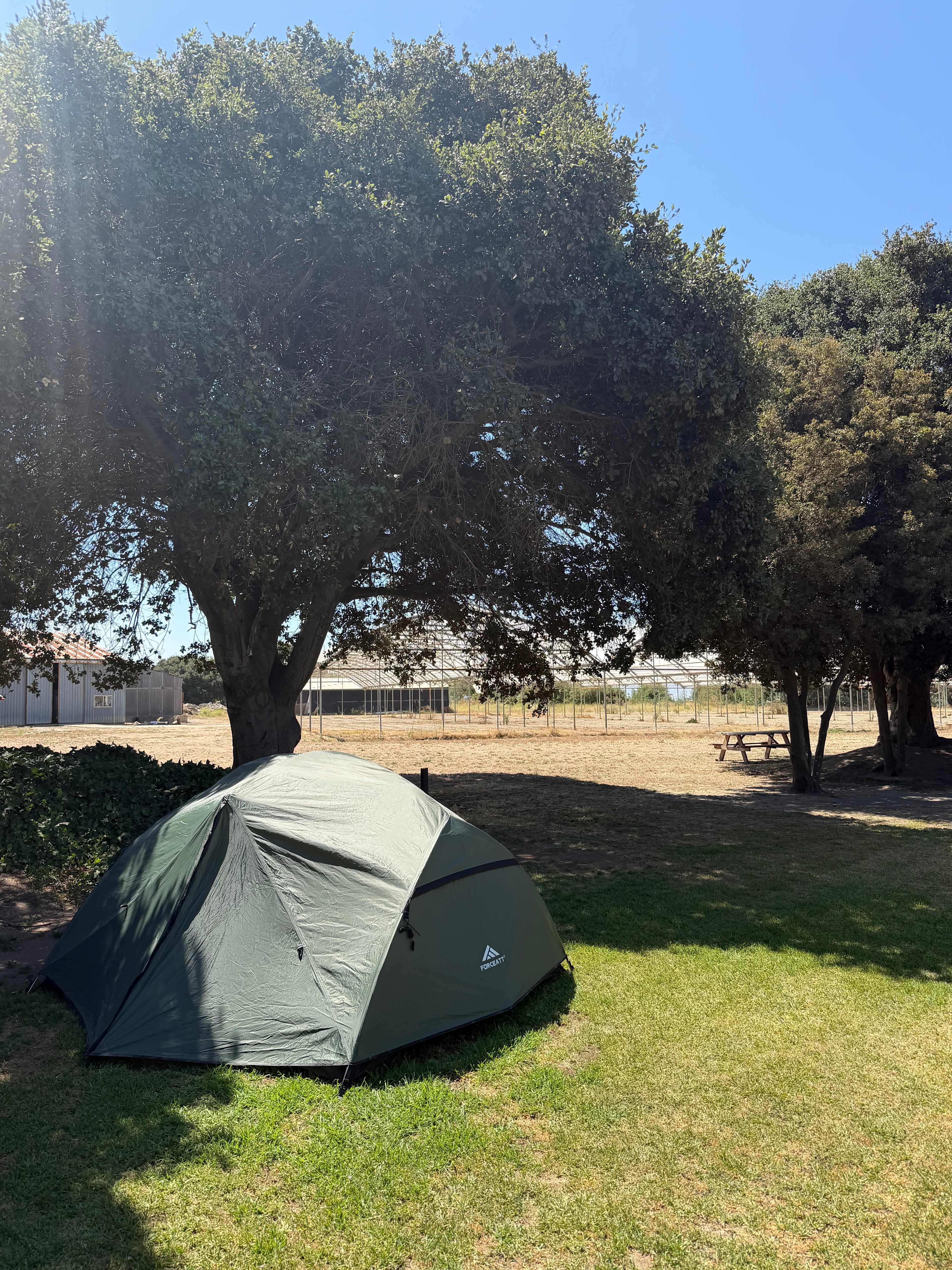 Picture of the site