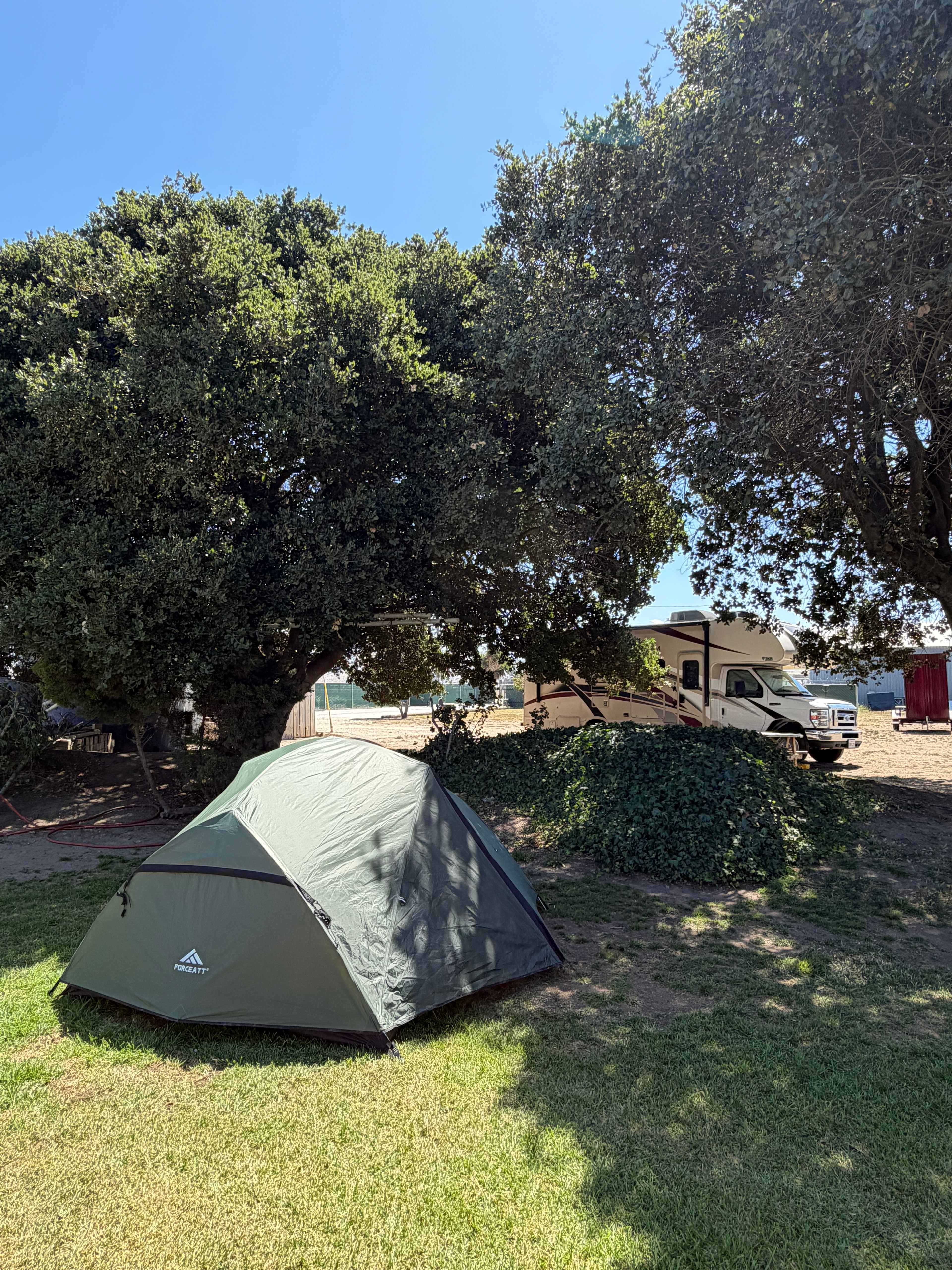 Picture of the site