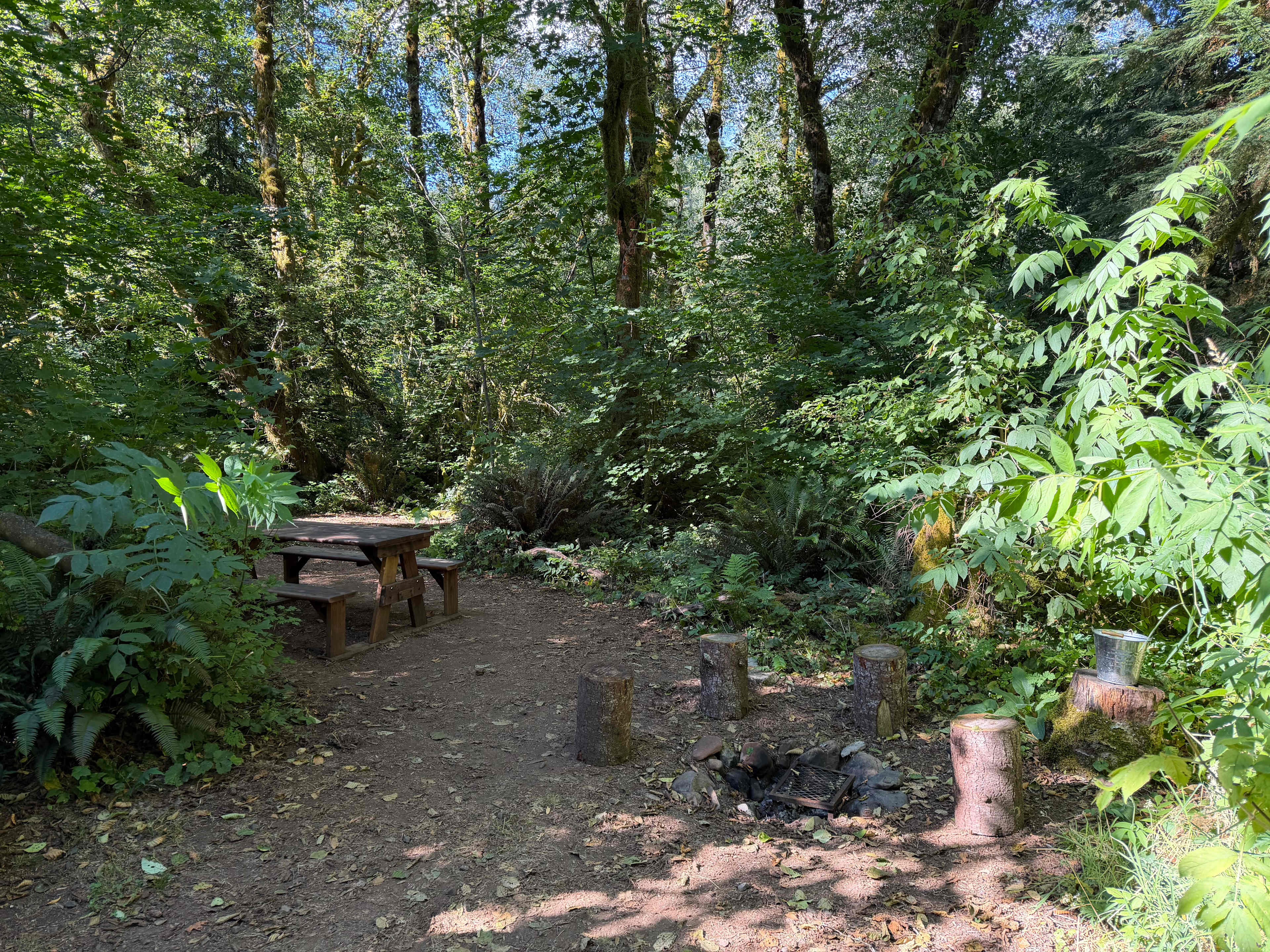 Nature Camp, Cabin and Farm.