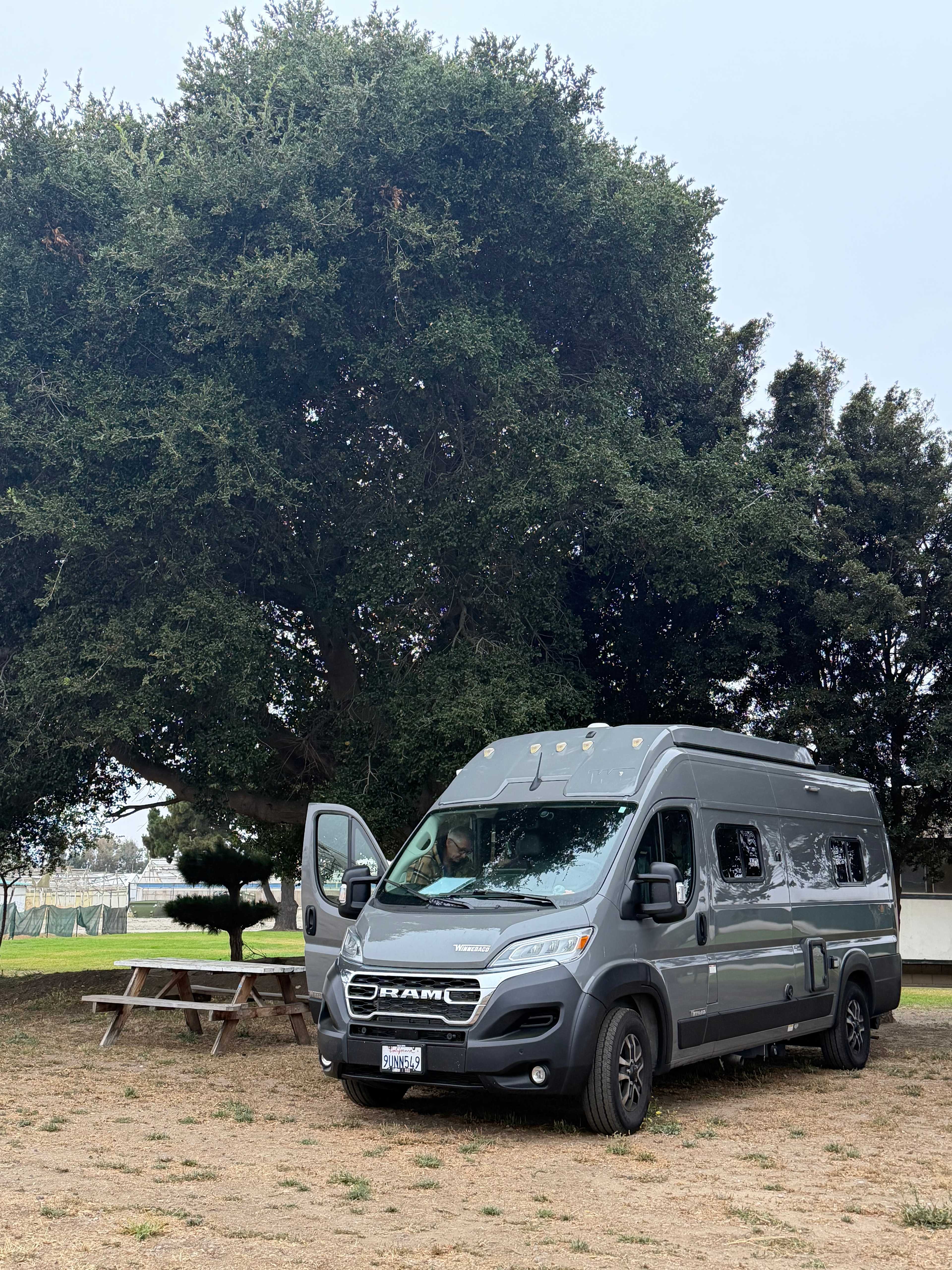 Picture of the site