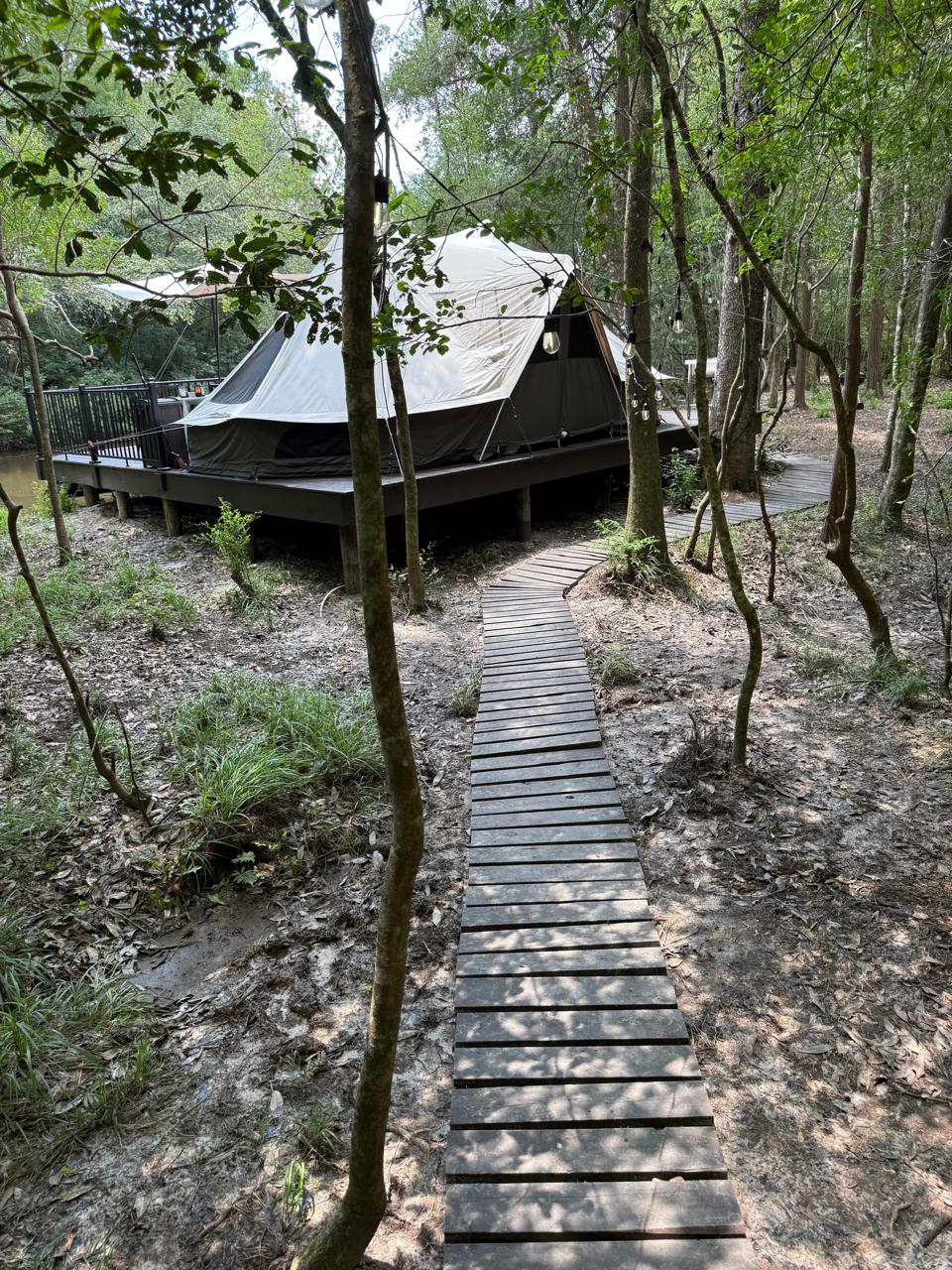 Picture of the site
