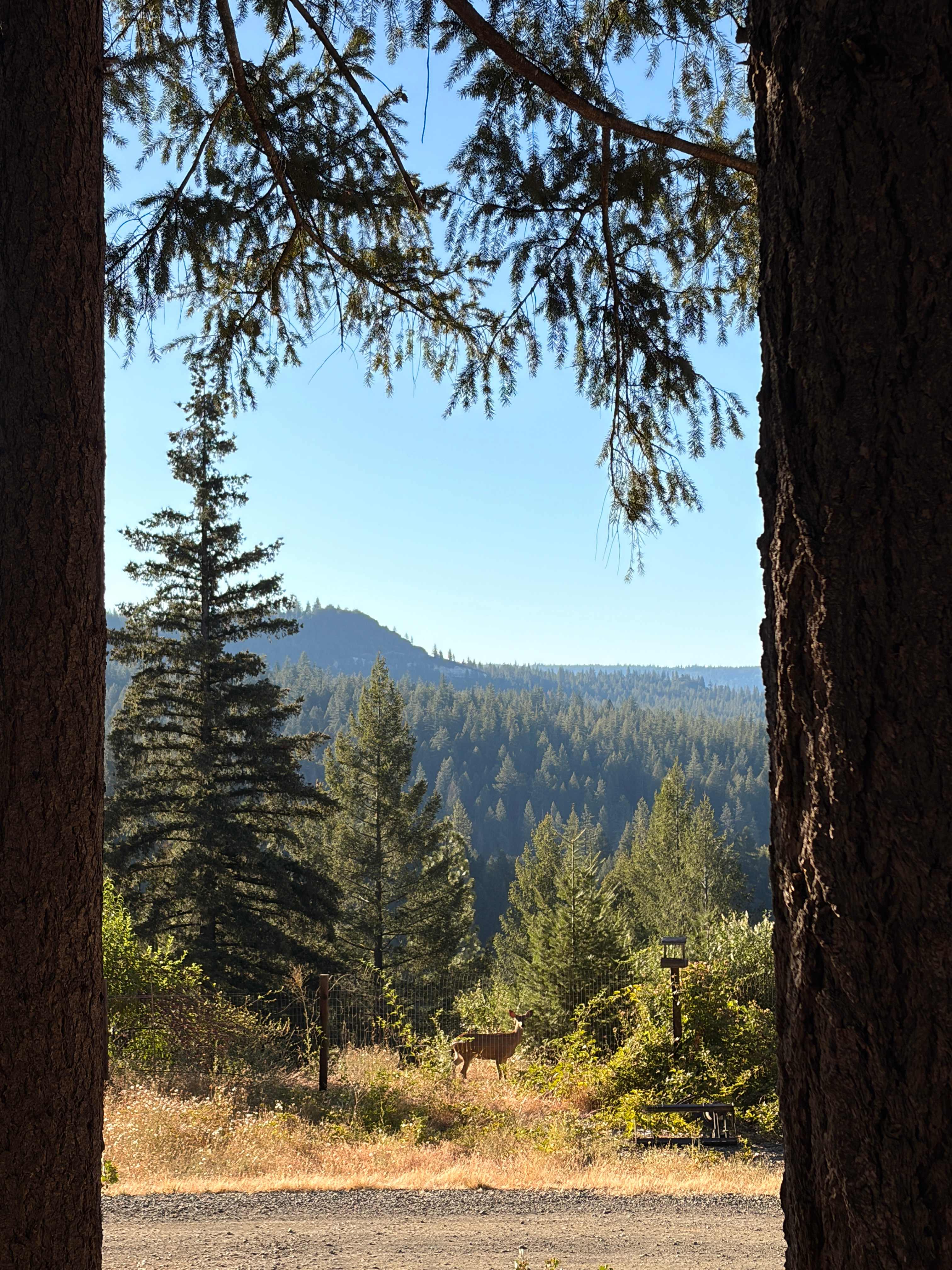 From my campsite!