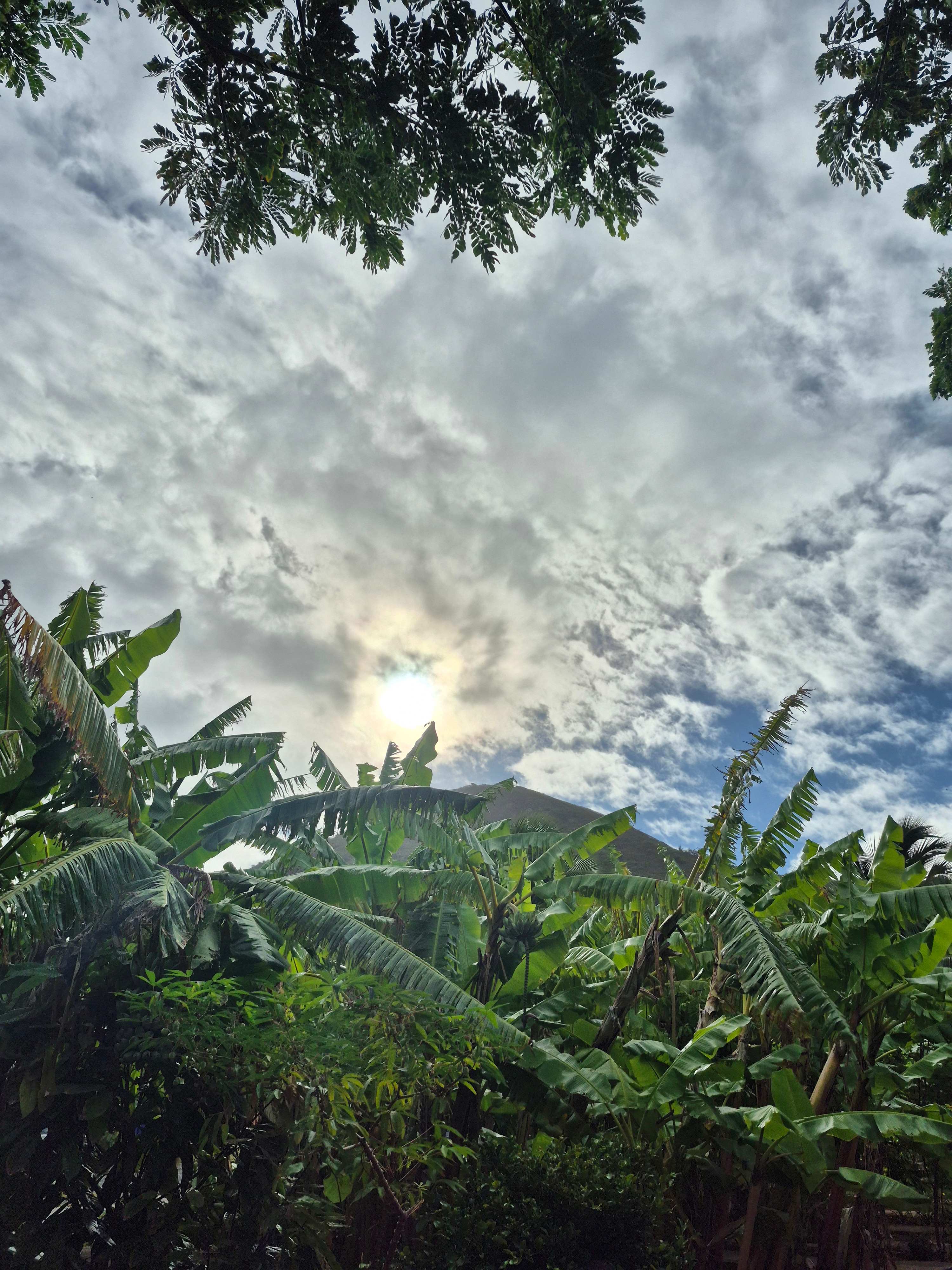 Sun Farm Hawaii @ Koko Head