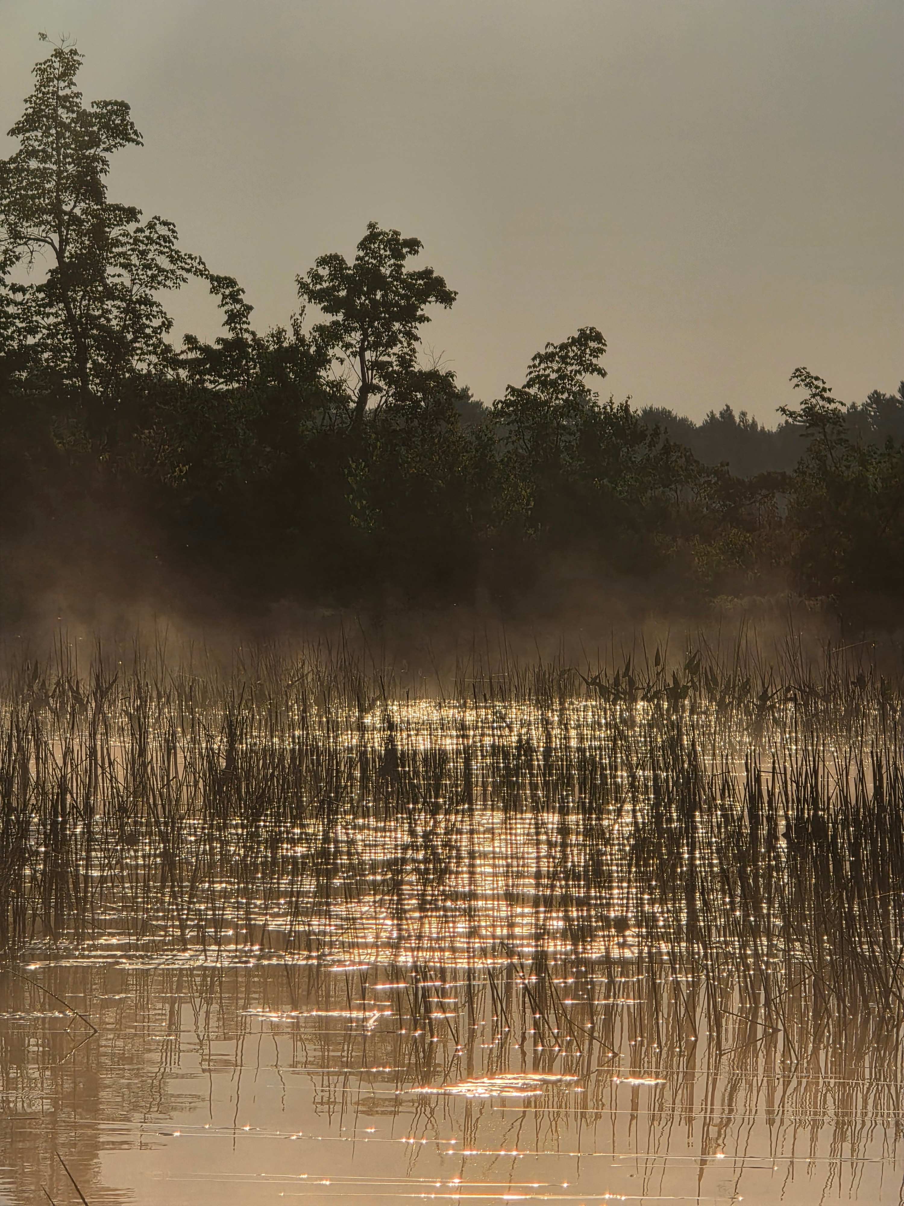 Whispering Pines