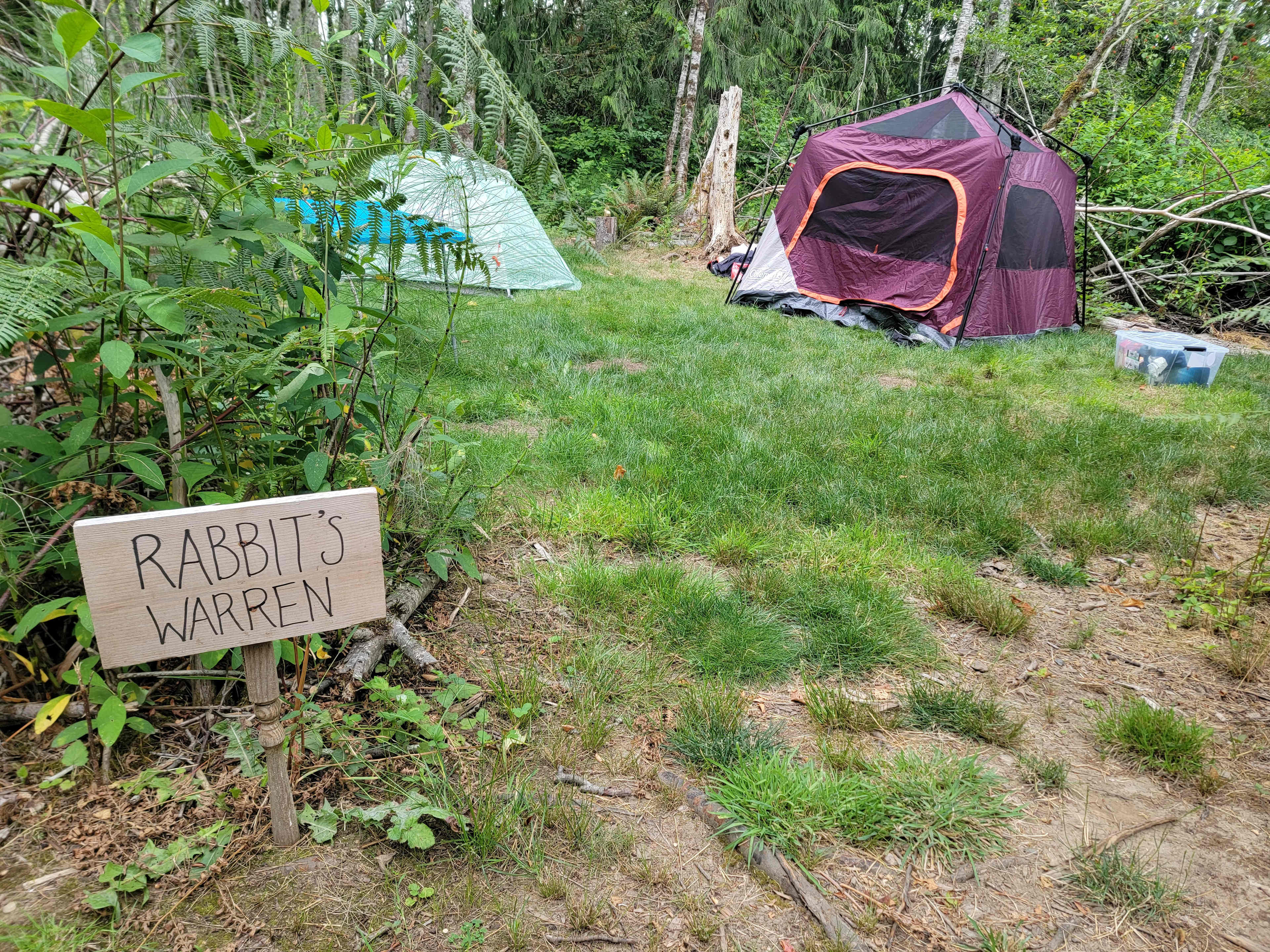 Rabbiet warren tent site