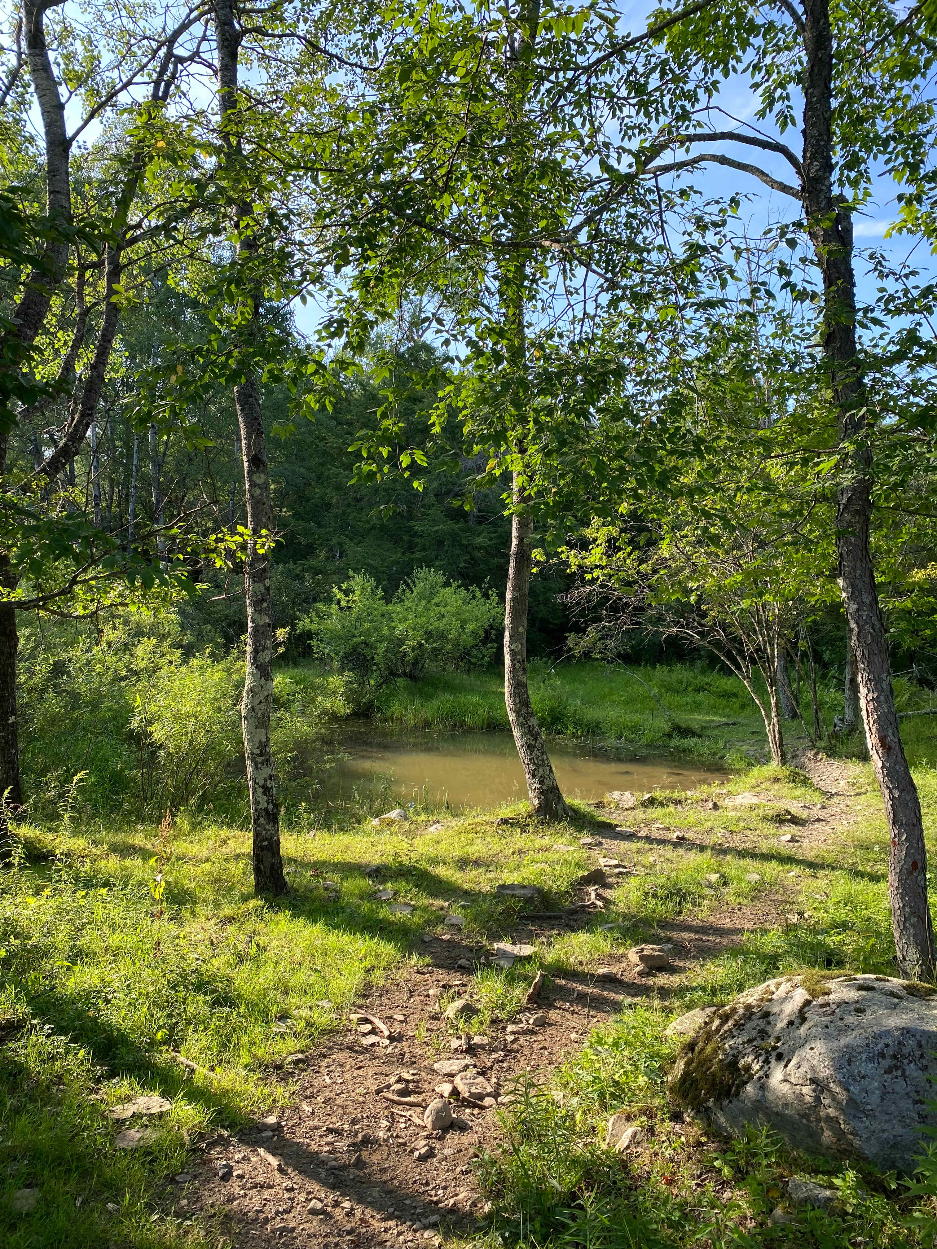Behind the next campsite over, there was a lovely little pond. 