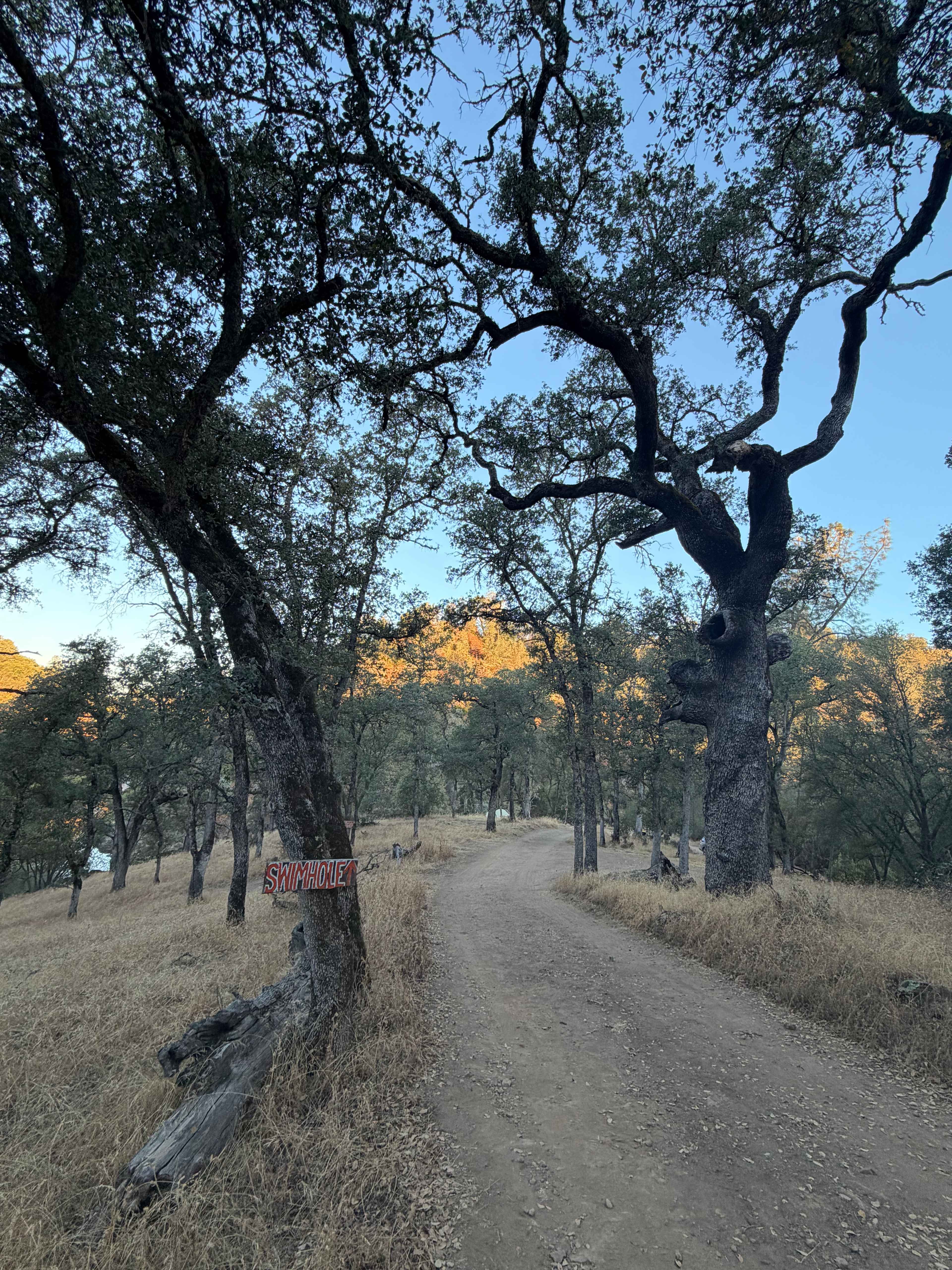 The path down to the swim hole (3mins each way)