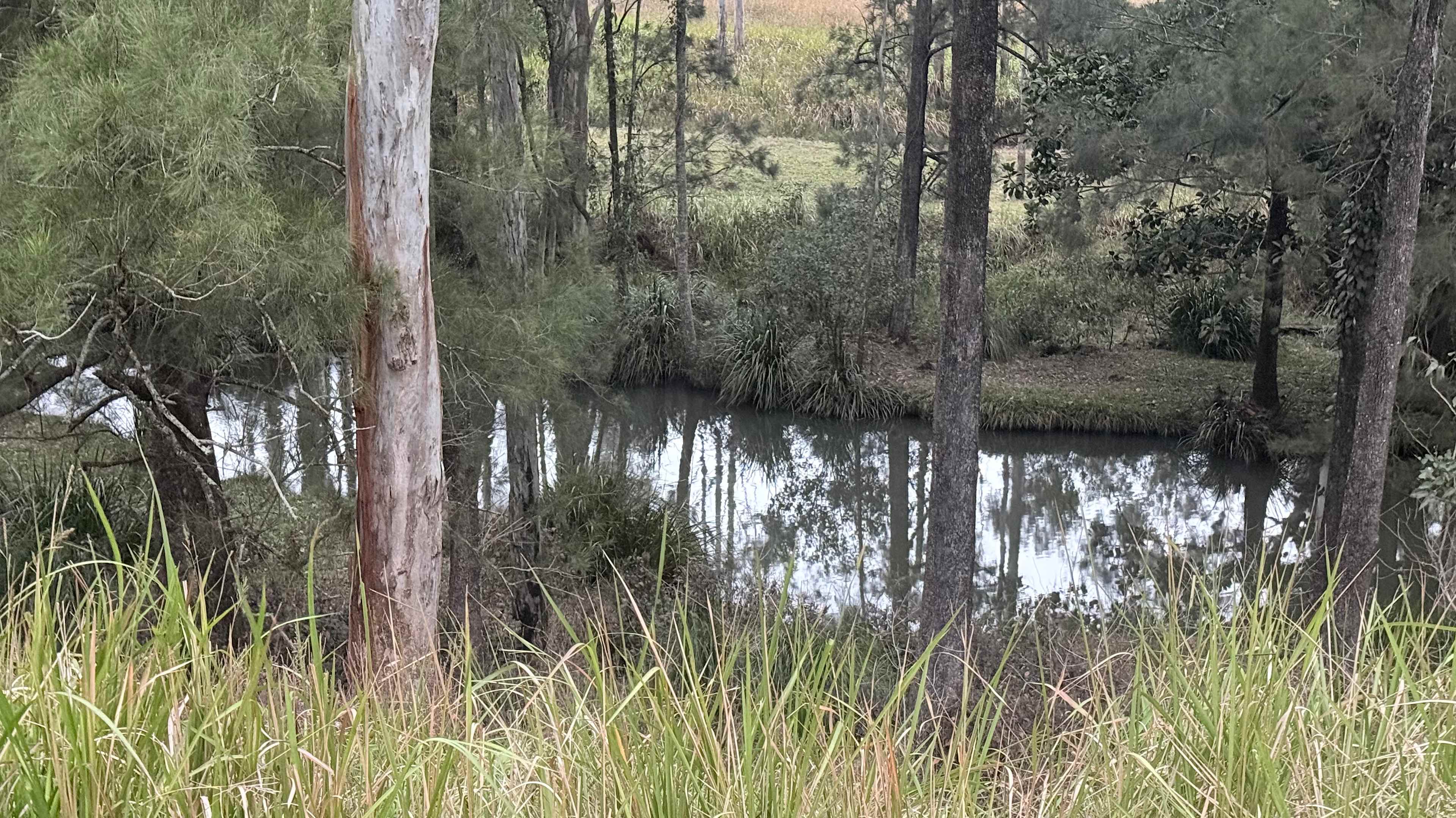 Flaggy Creek Caravan/Camping