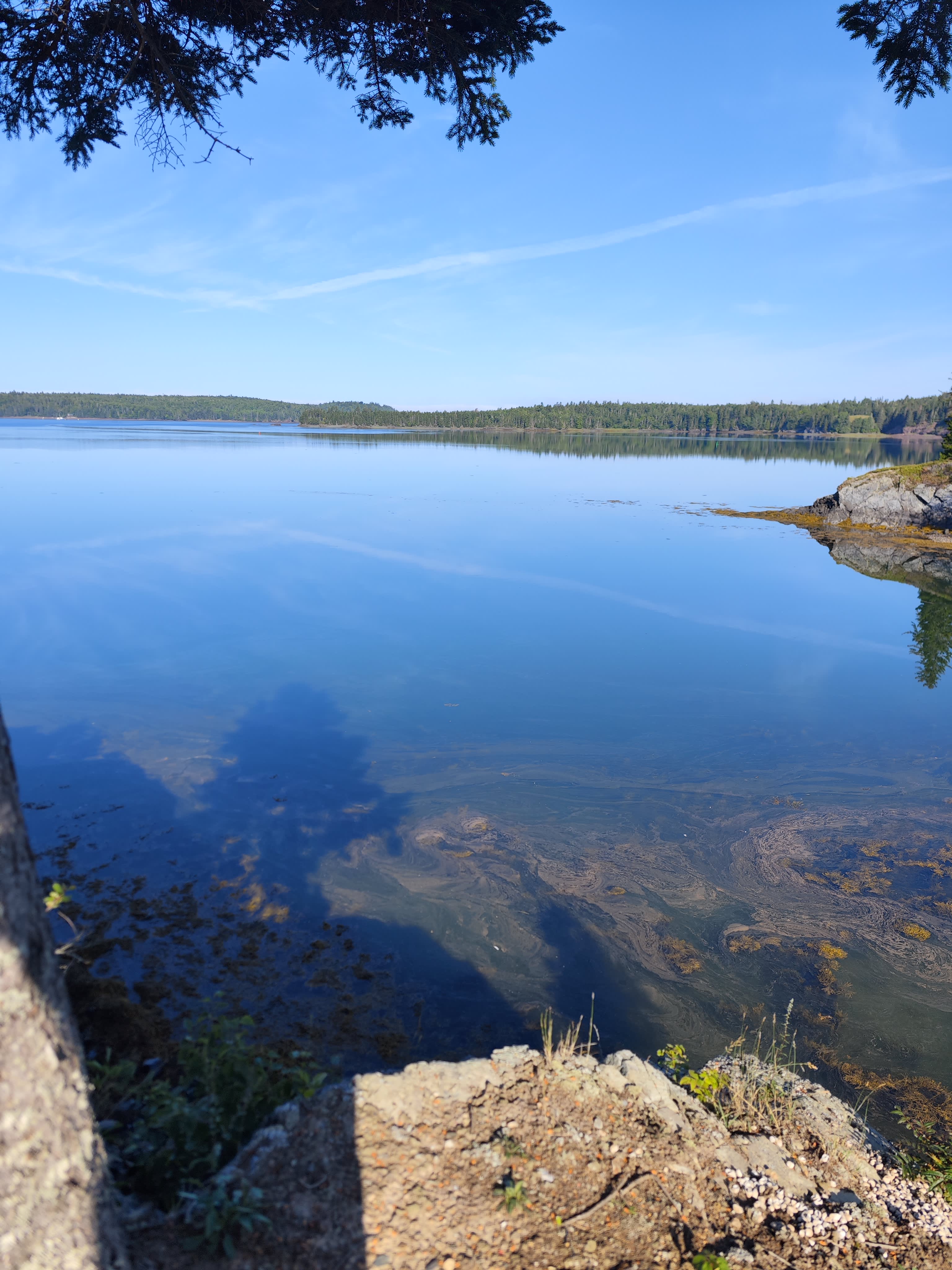 Mouth of the Magaguadavic Camping