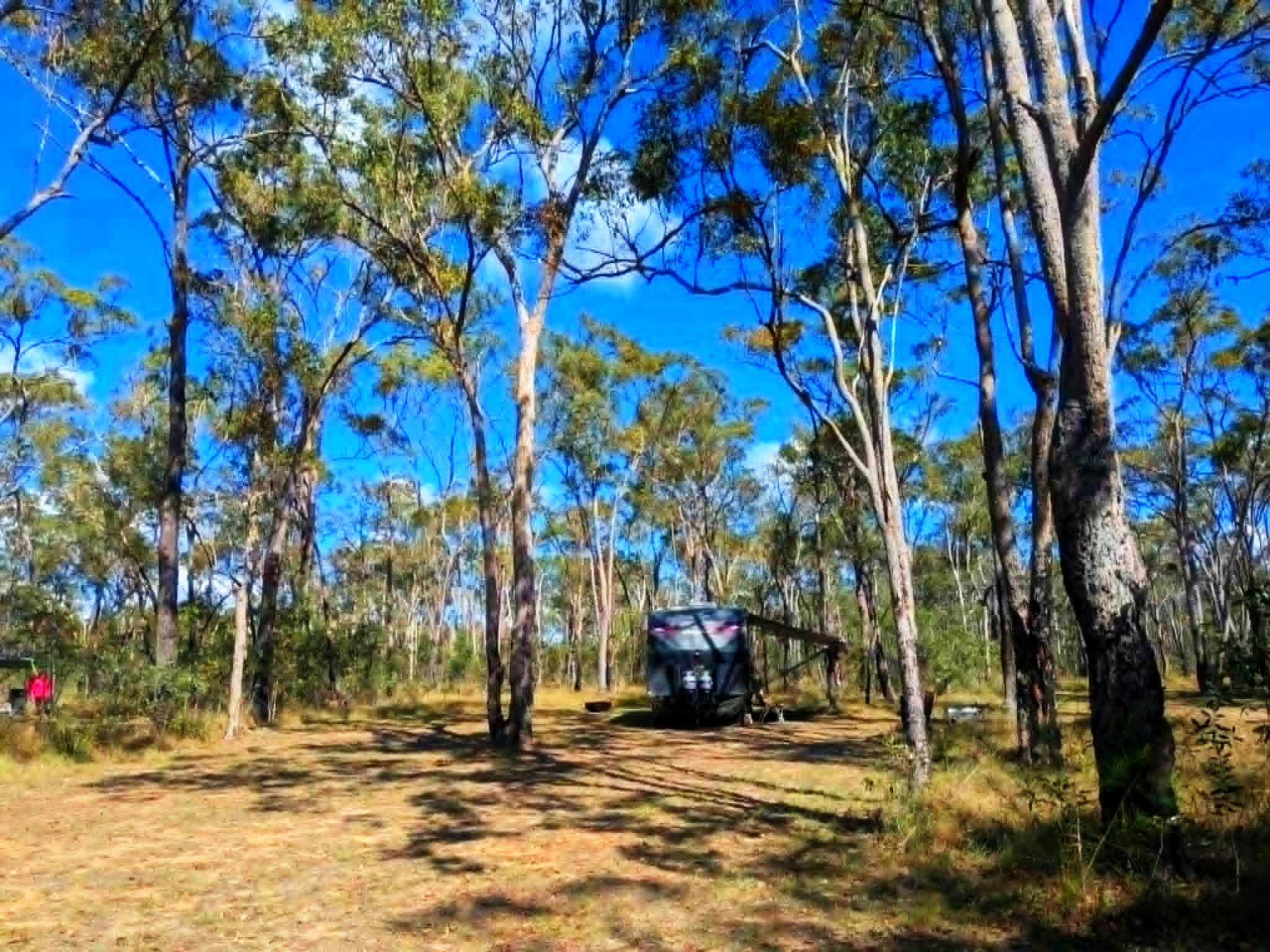 Woodlands Farmstay and Glamping