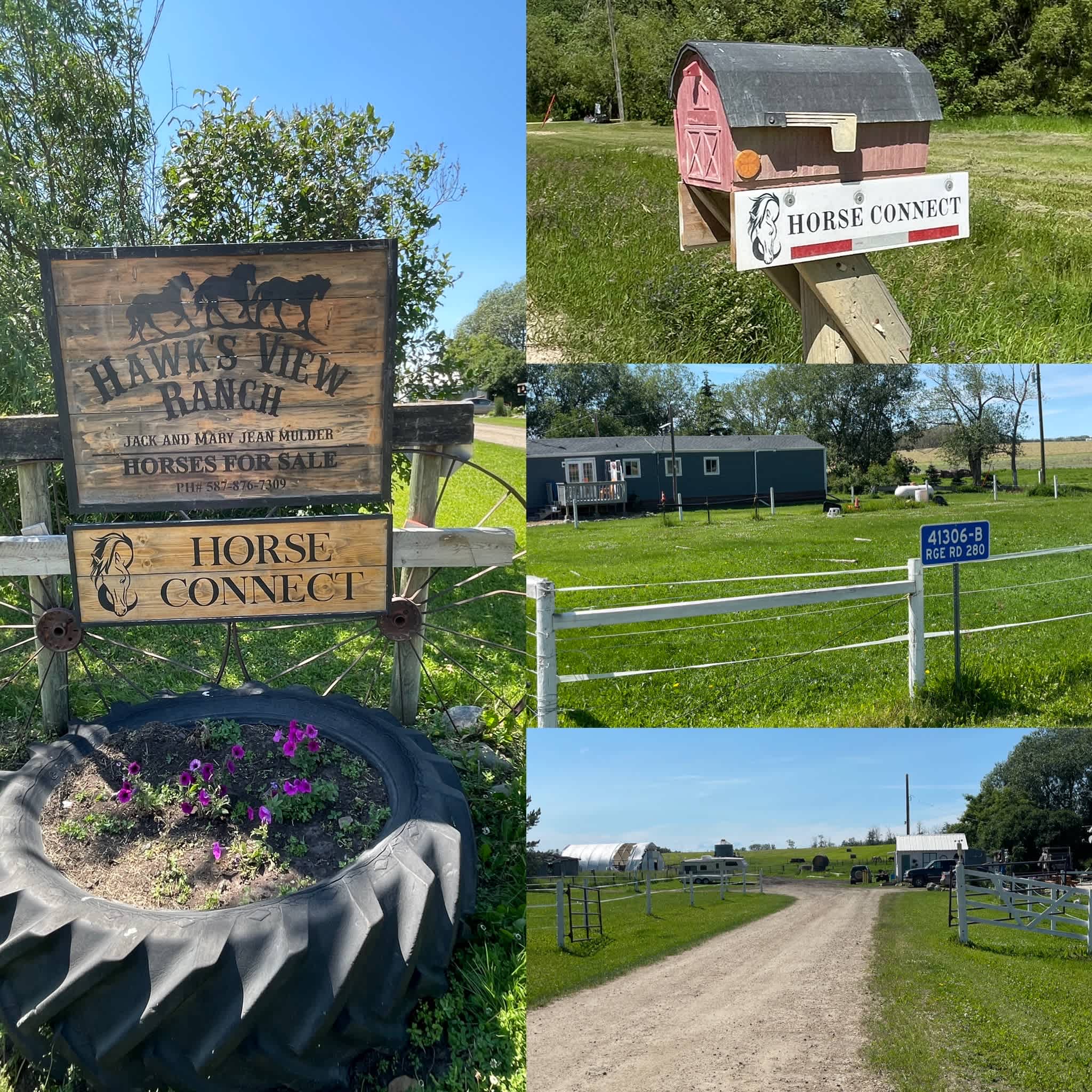 Hawk’s View Ranch