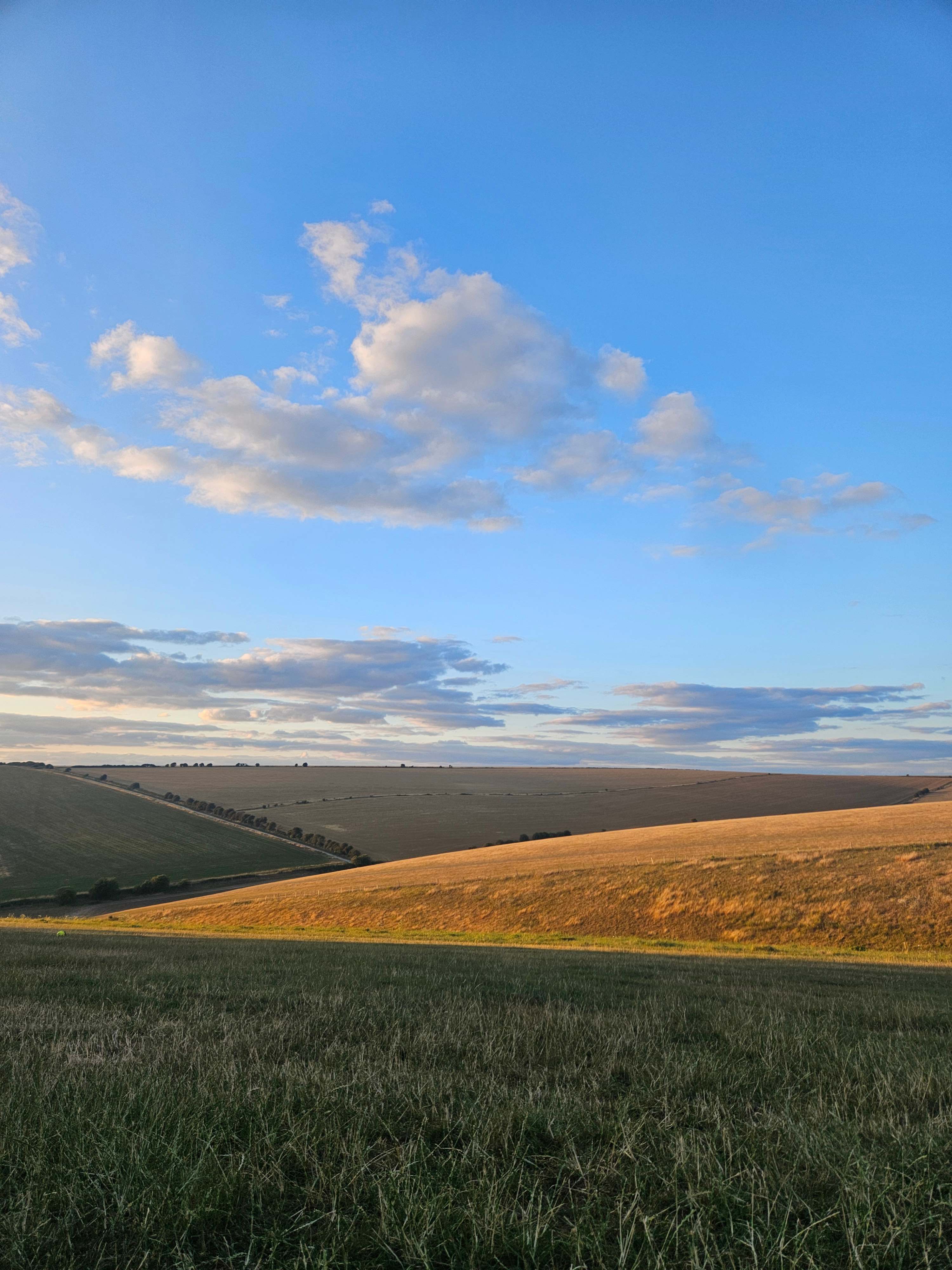 Chalky Downs