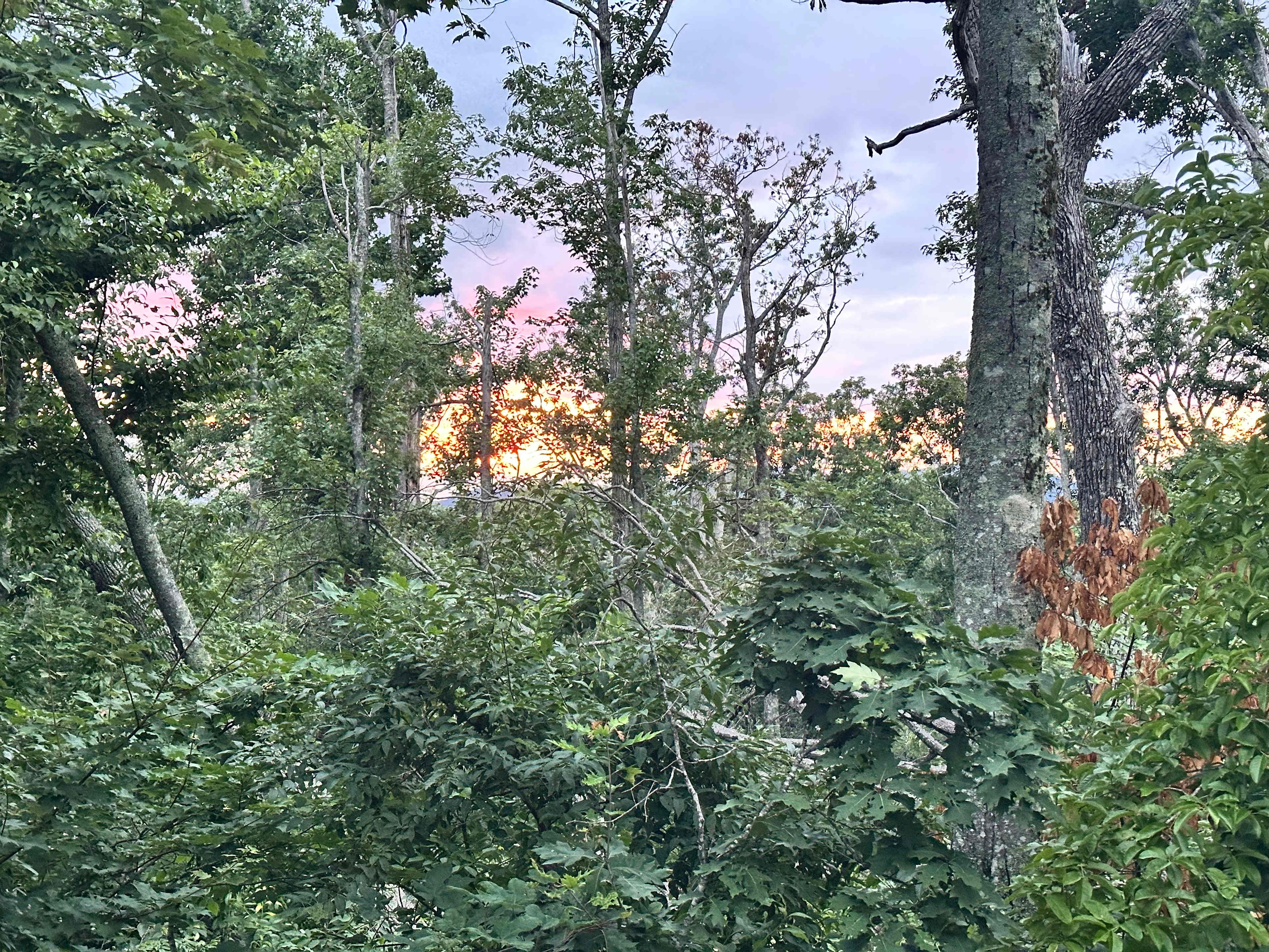Barnhill Mountain in Fletcher, NC