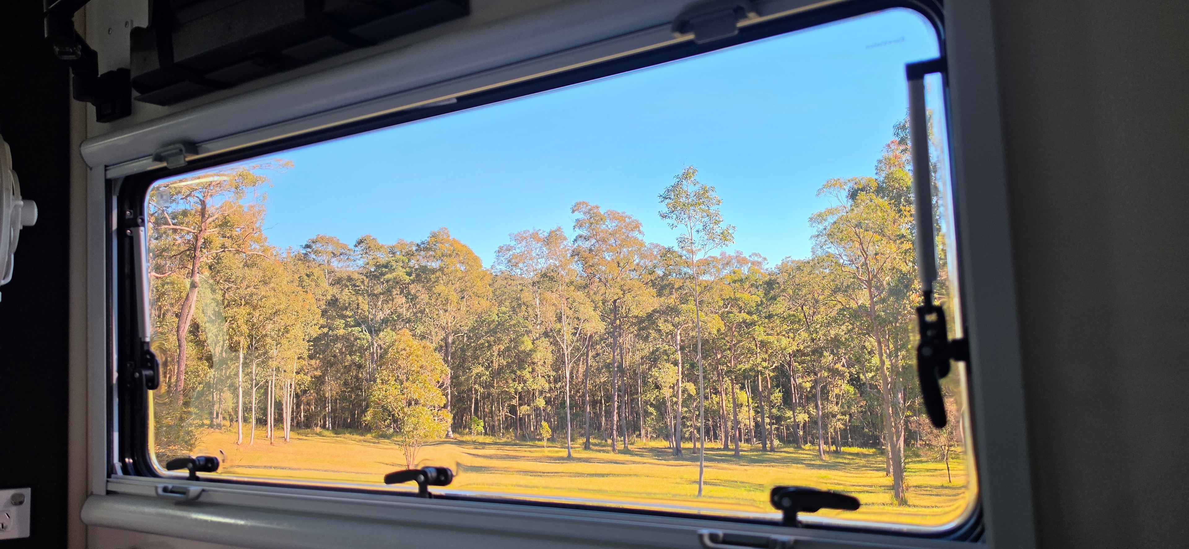Wallaby Haven